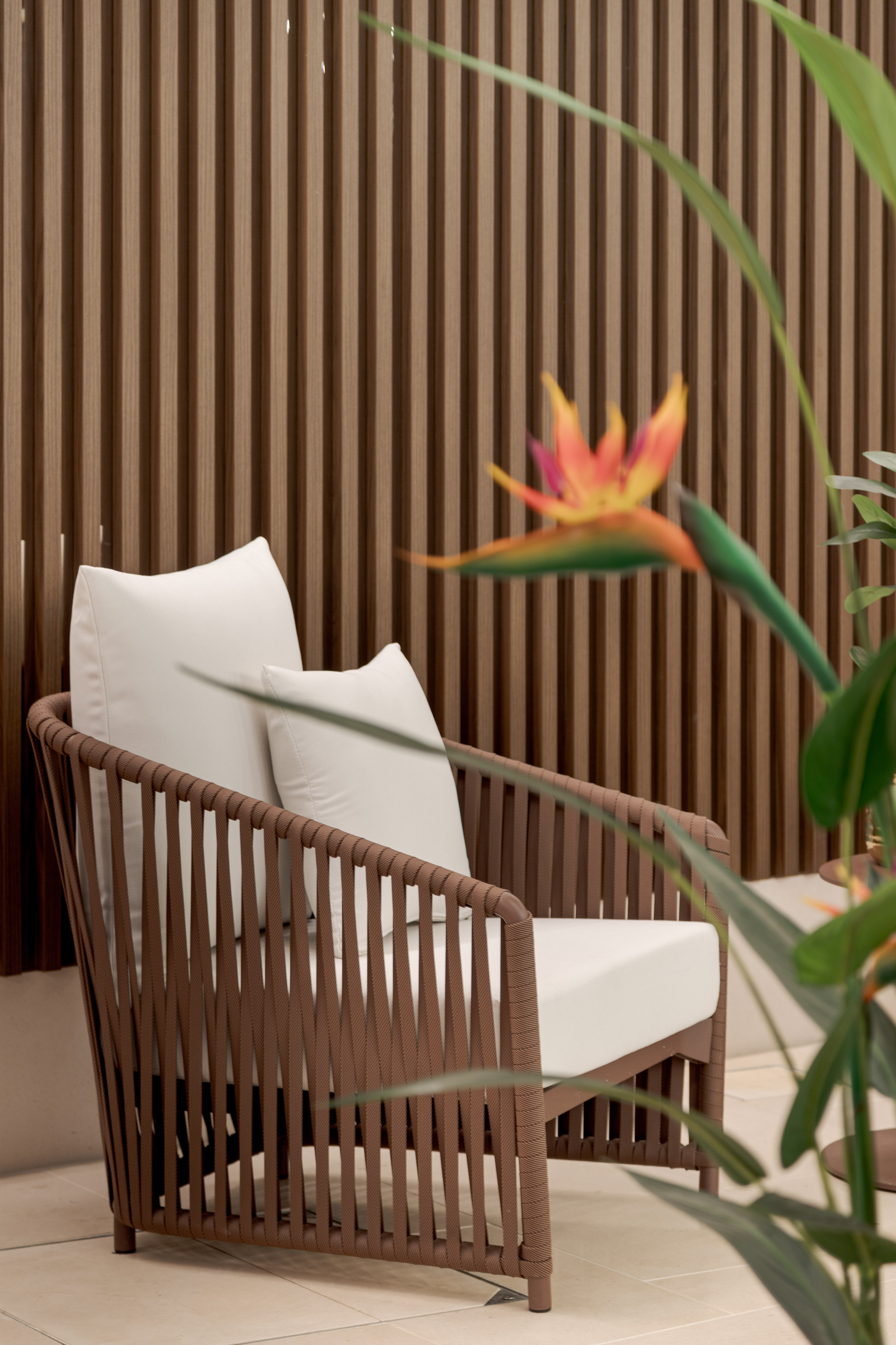 Brown woven outdoor armchair with white cushions, slatted wall, Bird of Paradise.