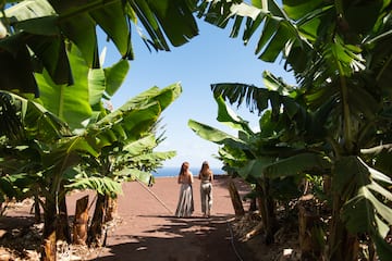 two women walking on a dirt path with palm trees and blue sky