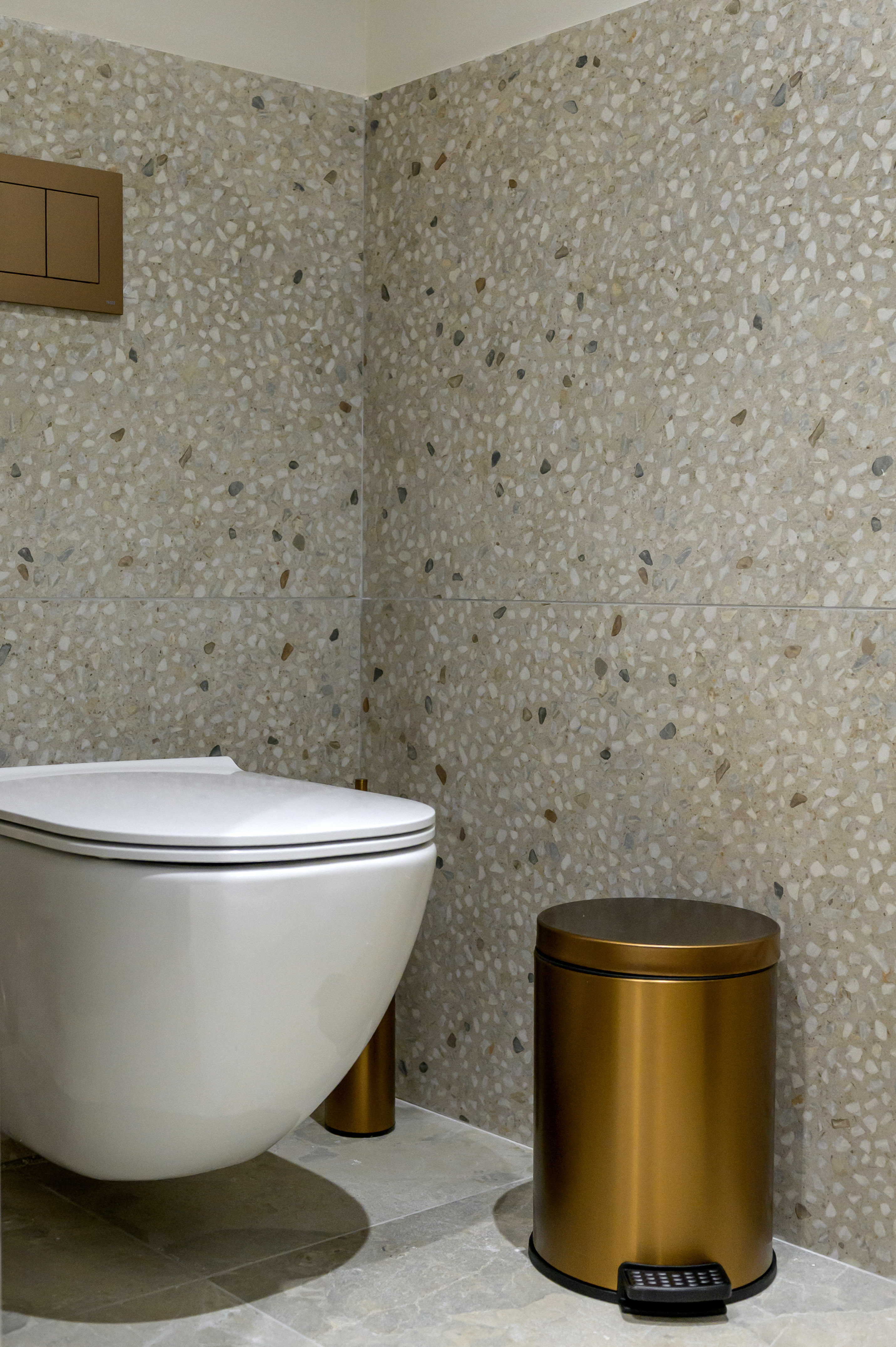 Wall-mounted toilet, gold flush plate & bin, terrazzo bathroom walls.
