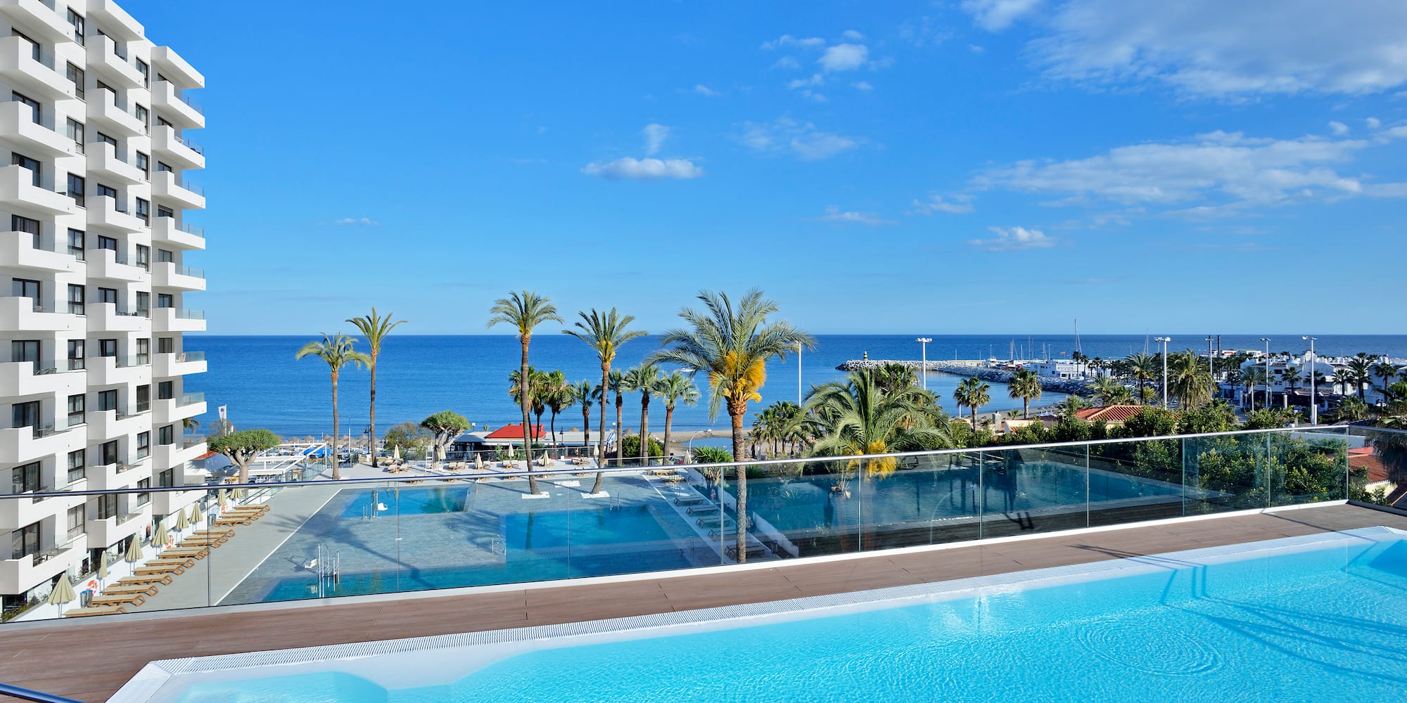 a pool with palm trees and a beach in the background