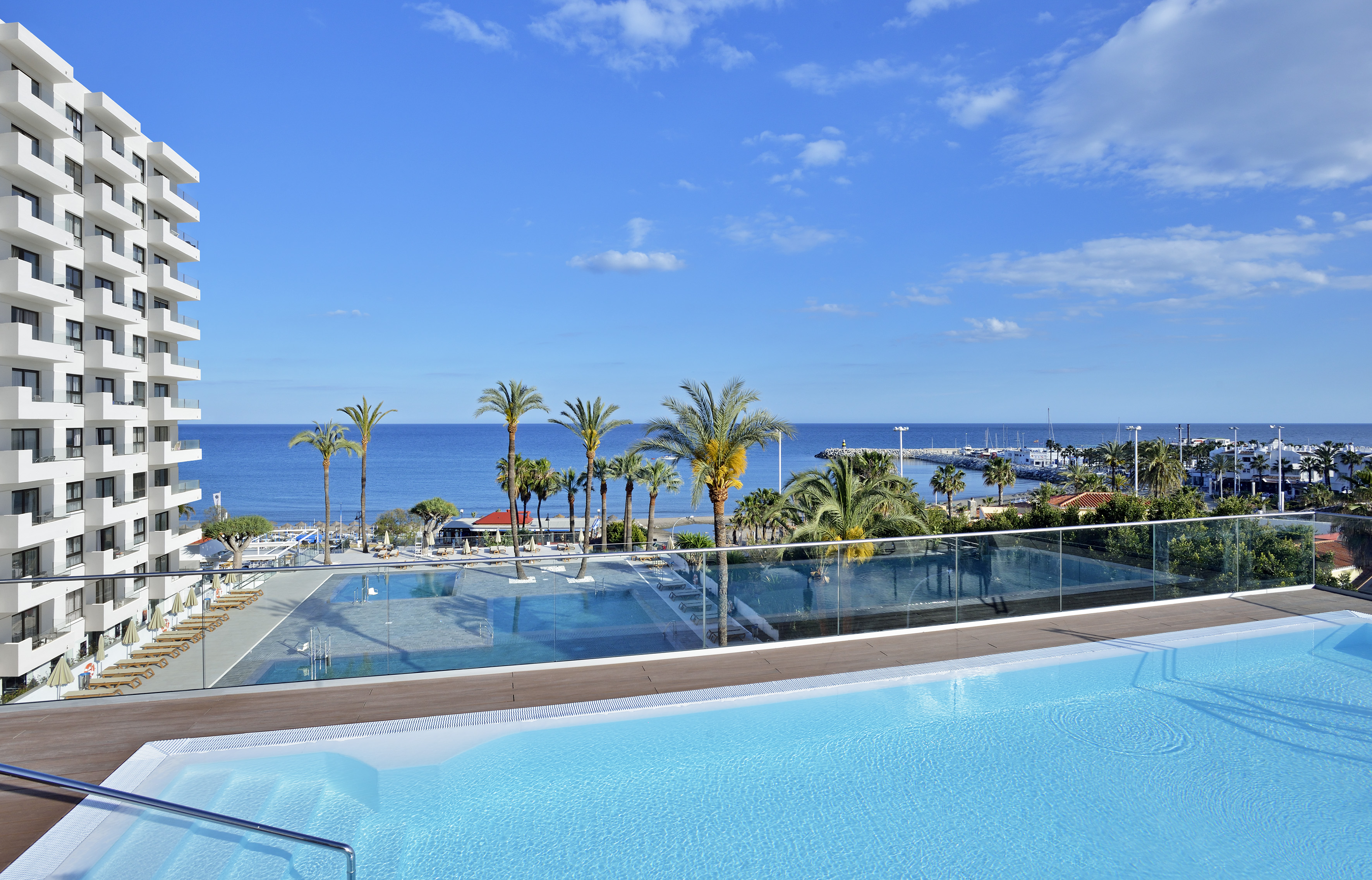 a pool with palm trees and a beach in the background