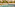 Luxury resort swimming pool with in-water lounge chairs and tropical palm trees.
