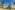 a palm trees and buildings