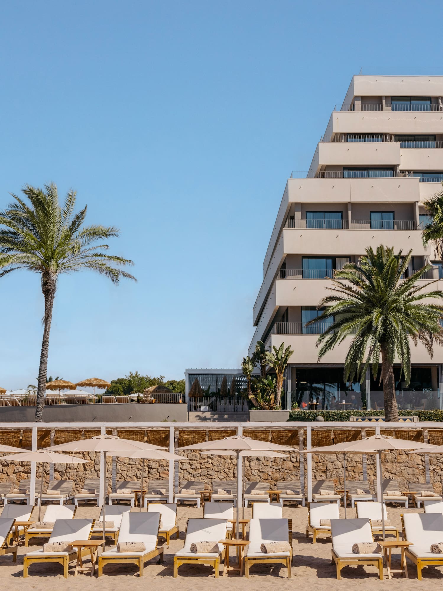 a group of lounge chairs on a beach with palm trees and a building in the background