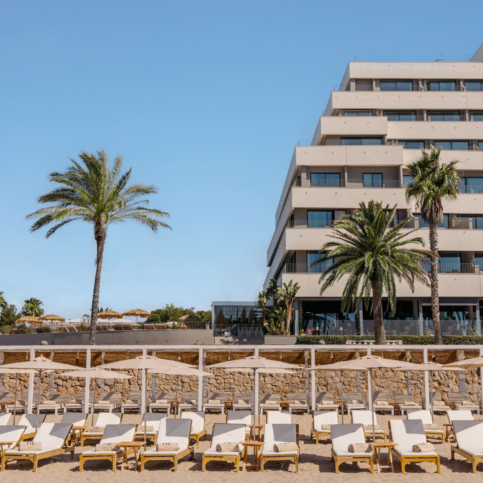 a group of lounge chairs on a beach with palm trees