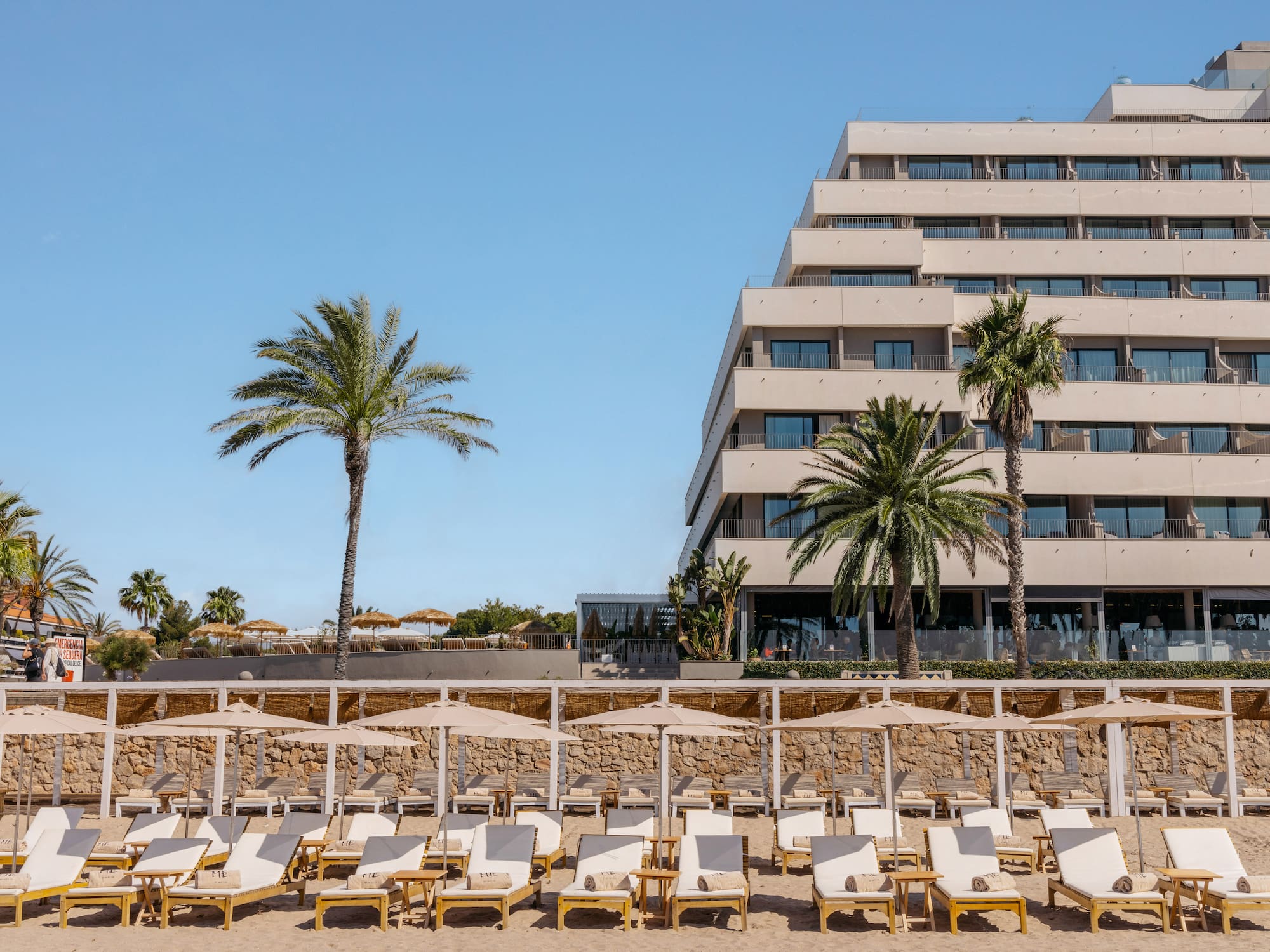 a group of lounge chairs on a beach with palm trees