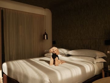 a dog on a bed