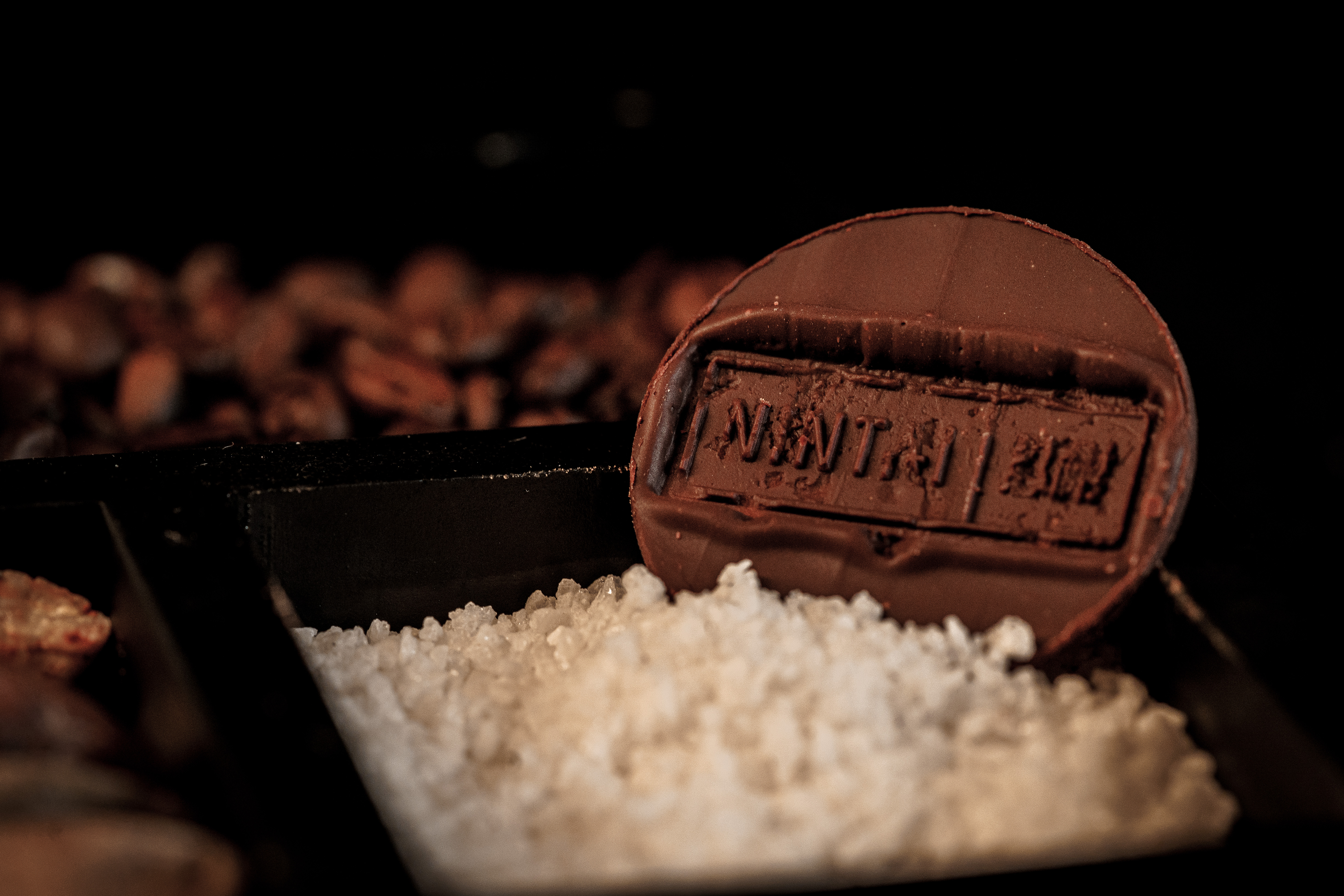 a chocolate cookie on a pile of white salt