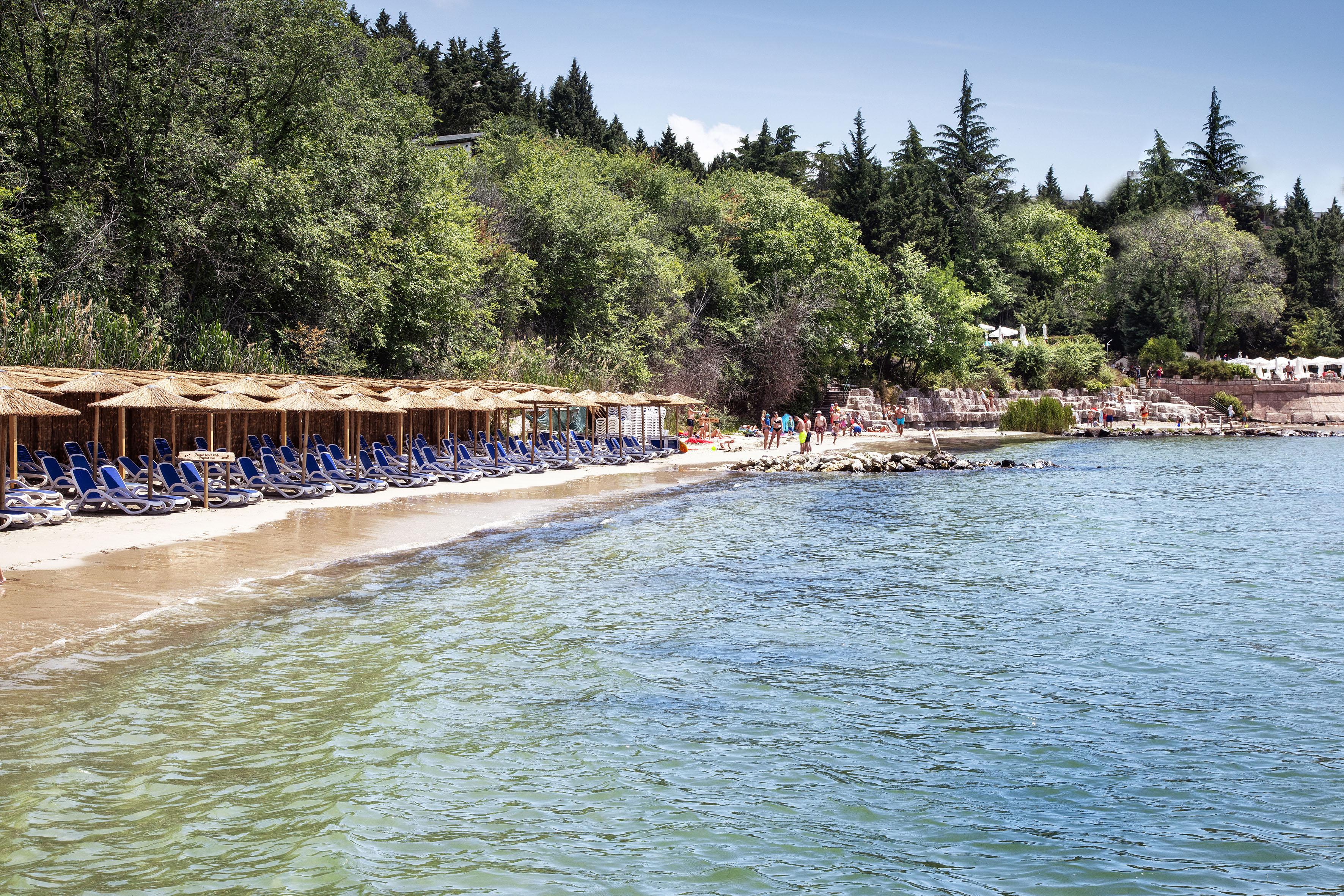 a beach with chairs and umbrellas
