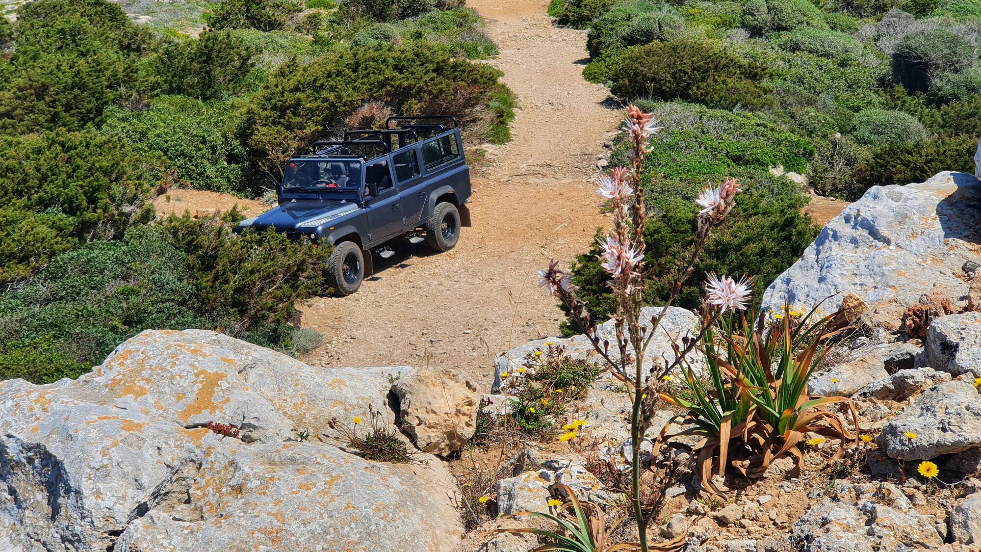 Land Rover Defender gris en camino de tierra entre arbustos verdes y rocas.