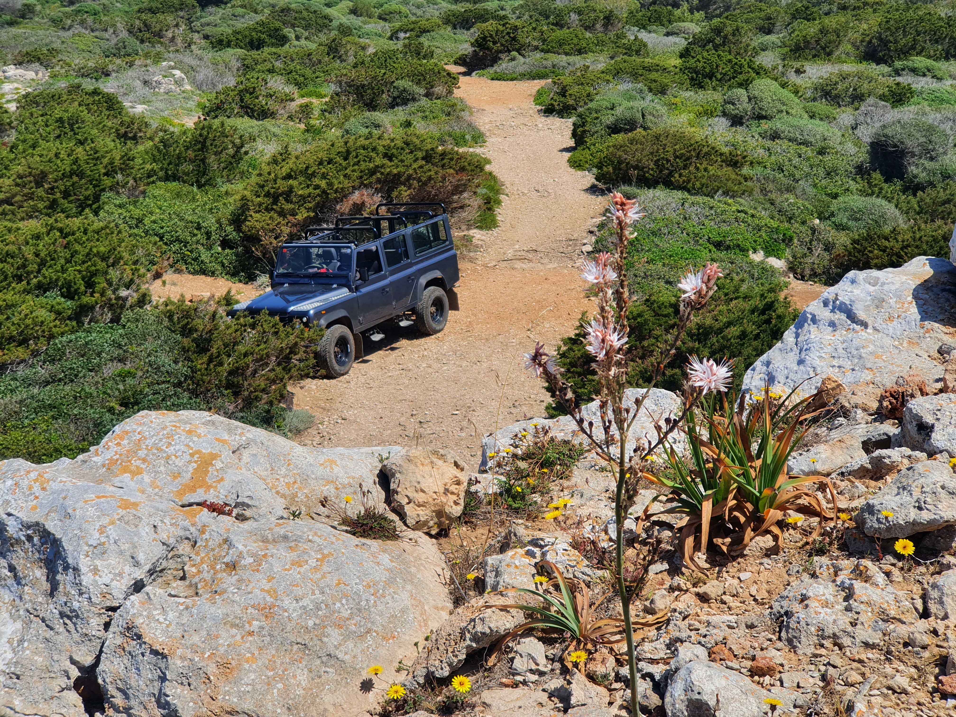Land Rover Defender gris en camino de tierra entre arbustos verdes y rocas.