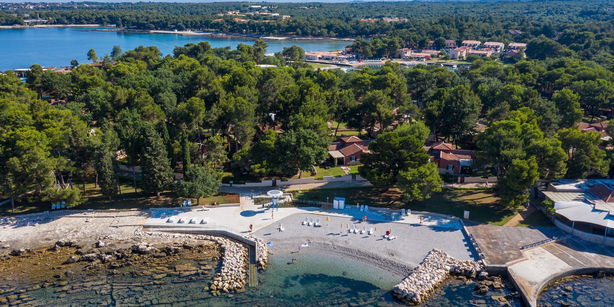 a beach with trees and water