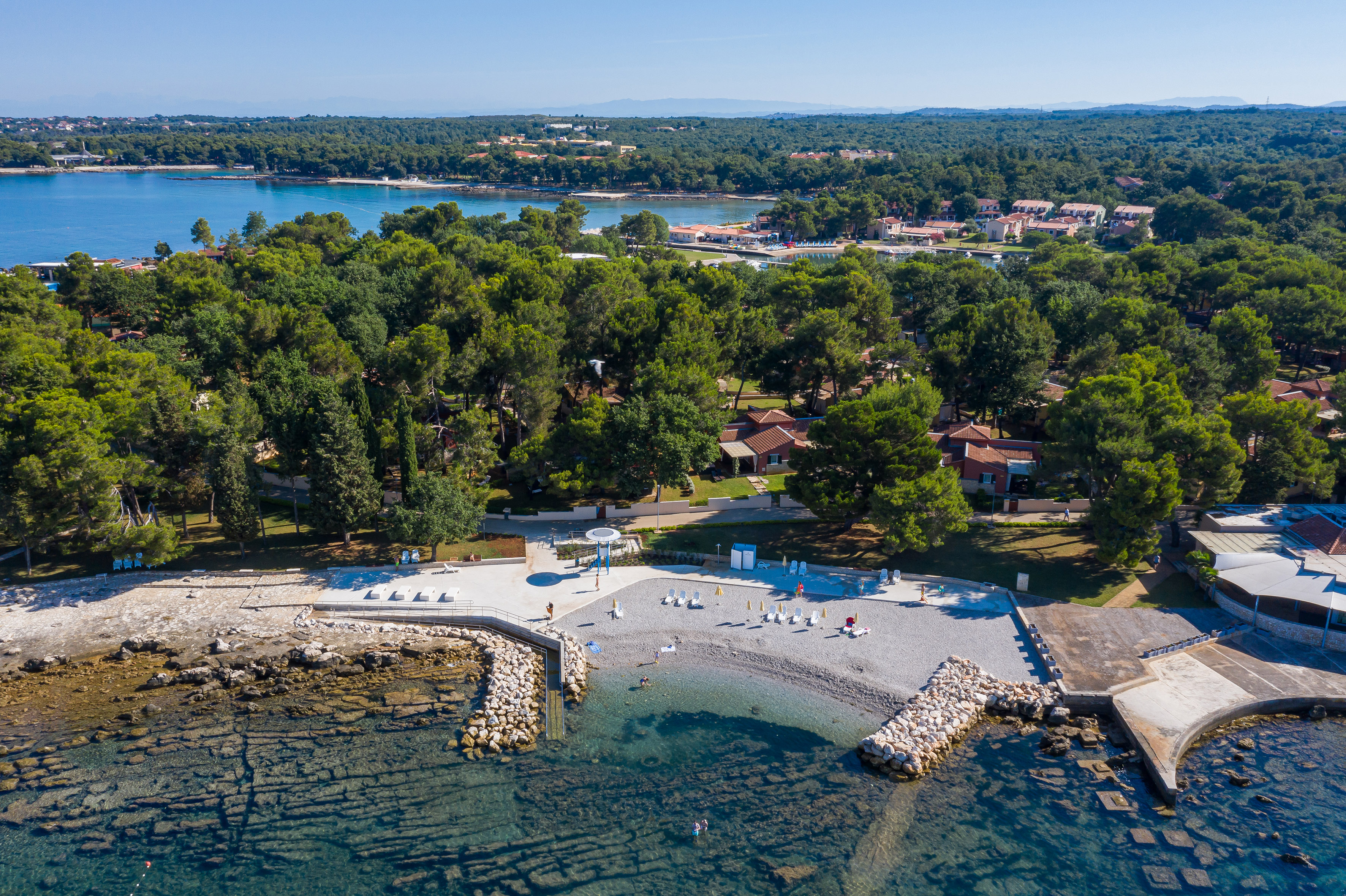 a beach with trees and water