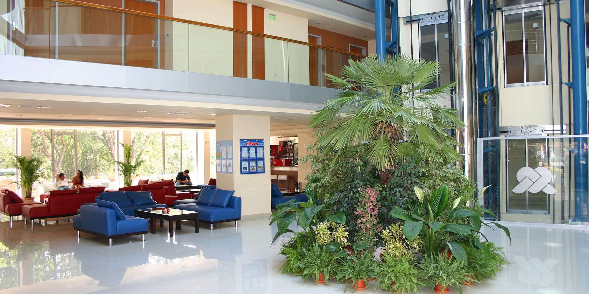 a plant in a lobby
