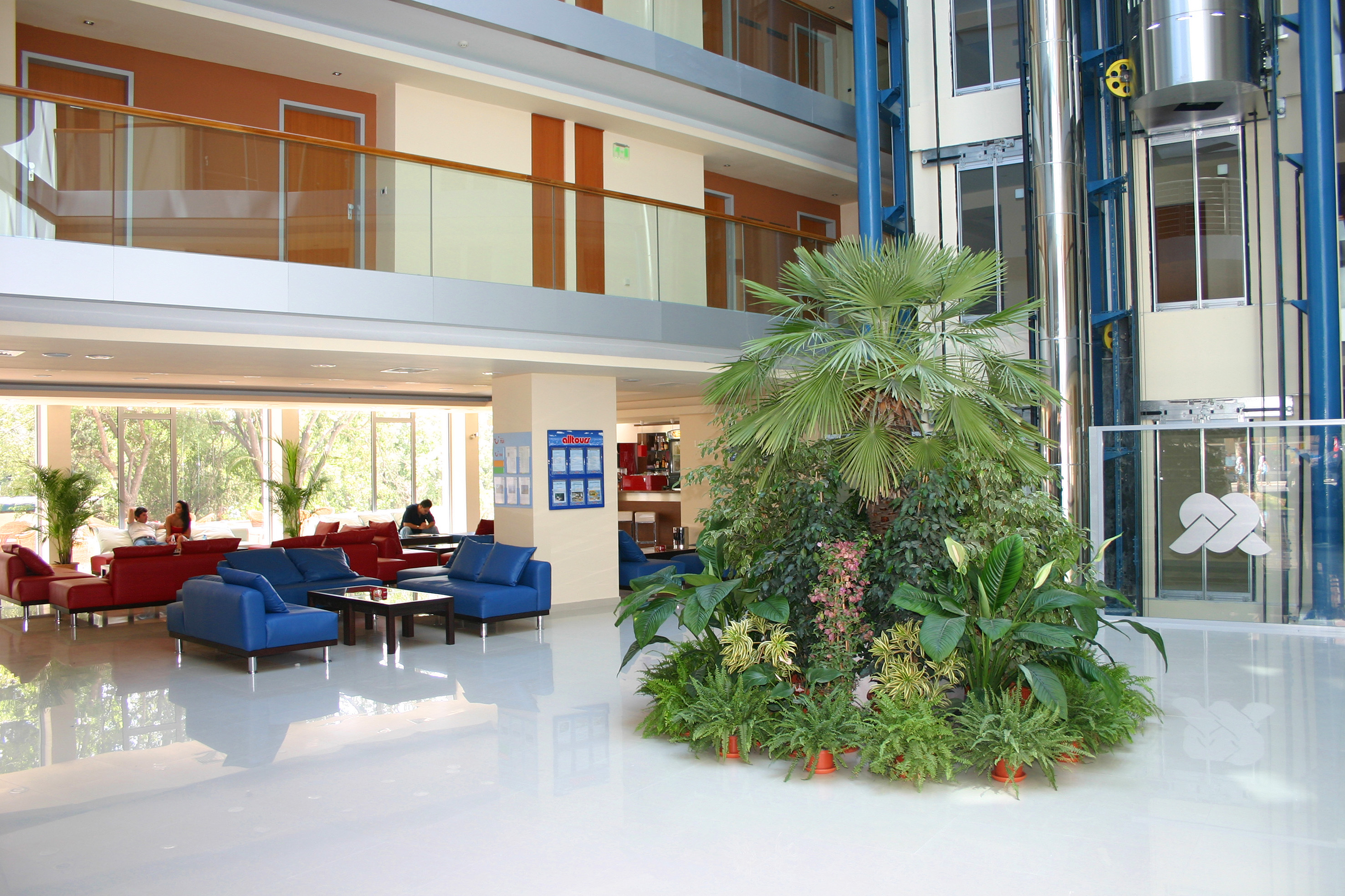 a plant in a lobby