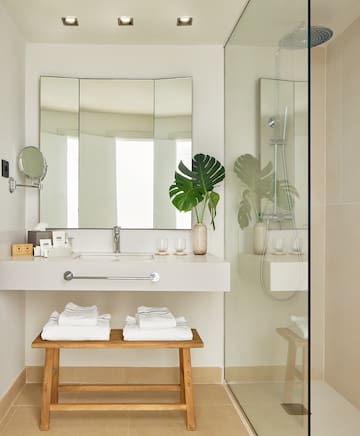 a bathroom with a mirror and a sink