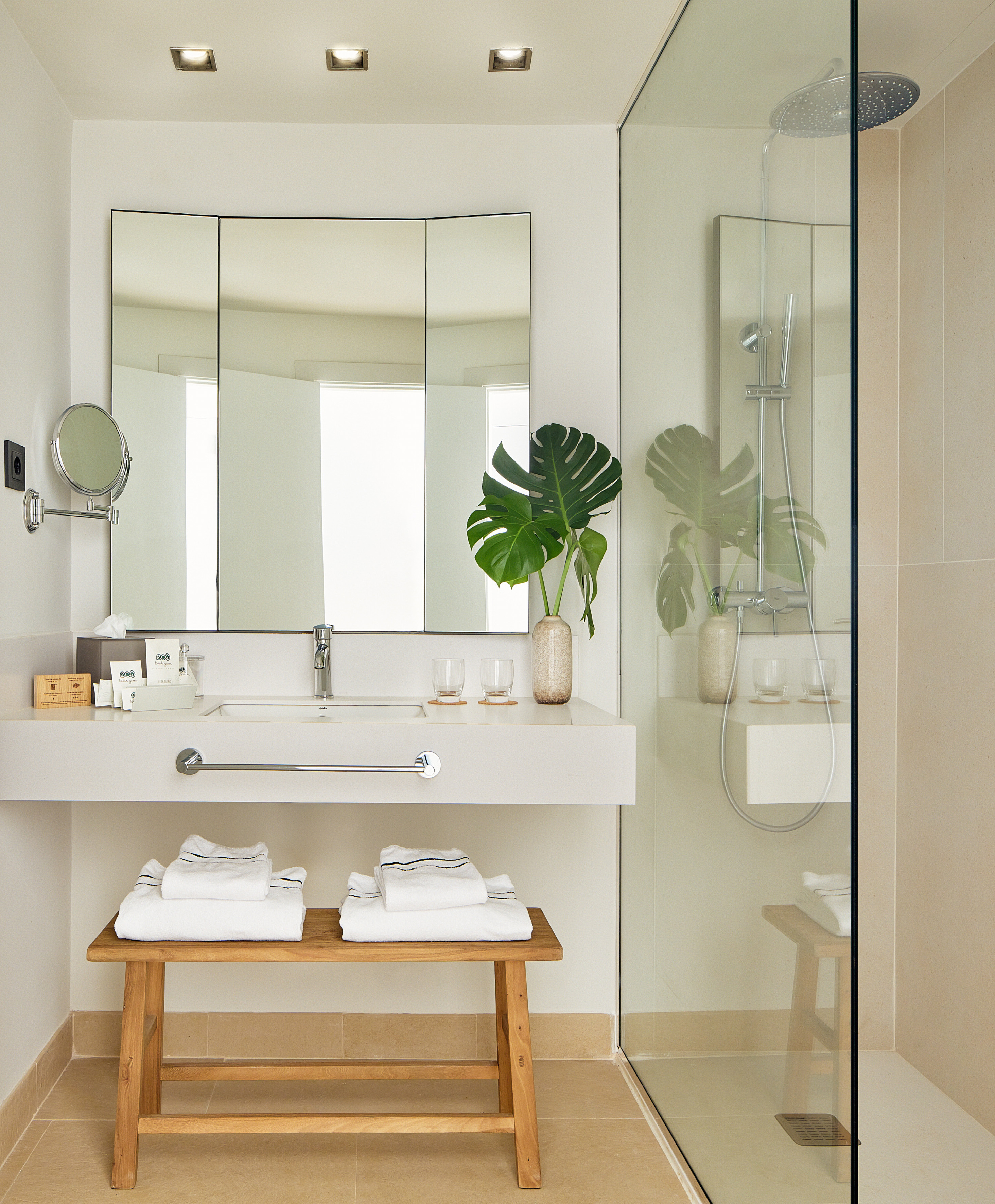 Modern bathroom with vanity, glass shower, monstera plant, and wood bench.
