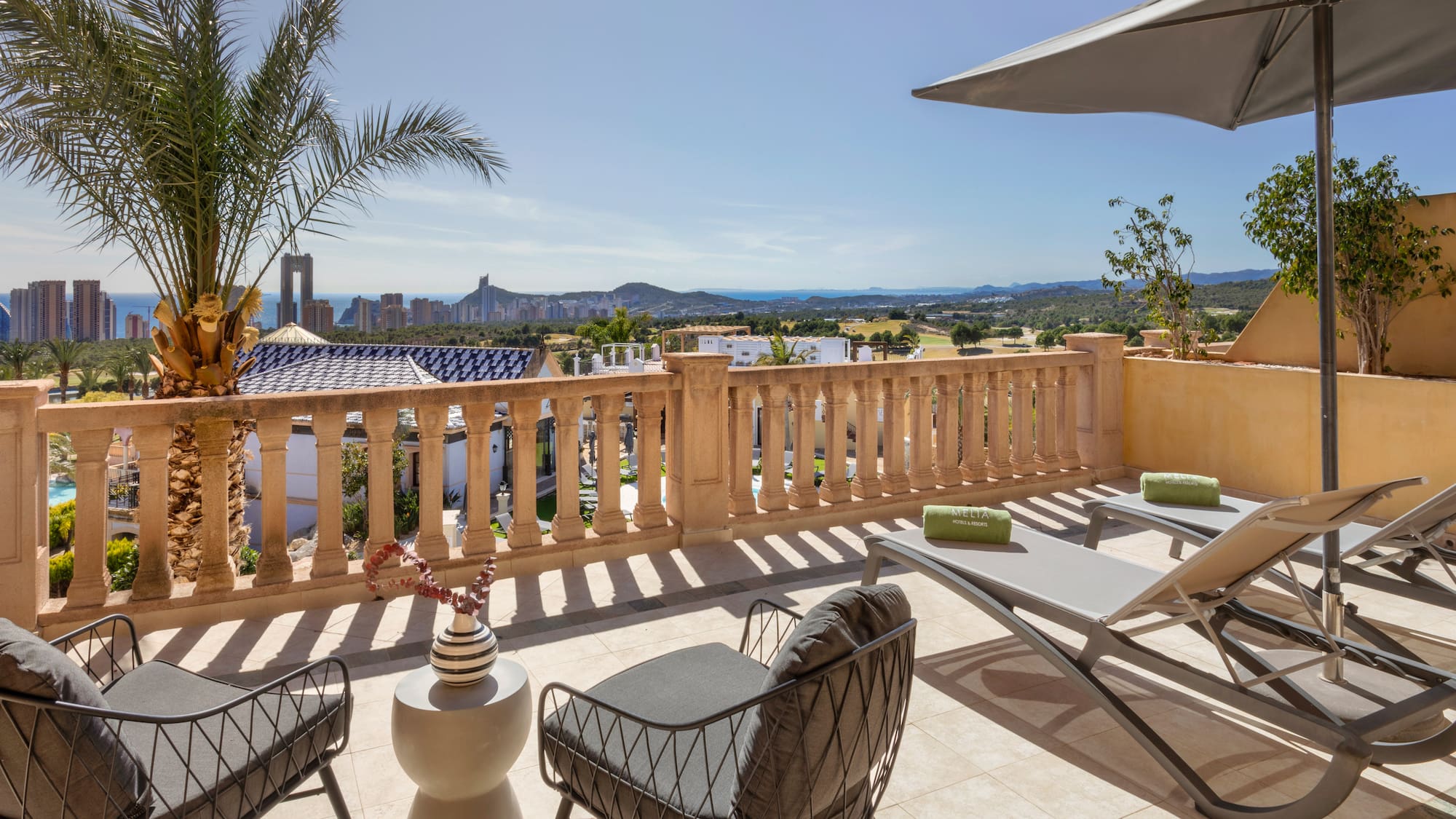 a patio with chairs and a palm tree