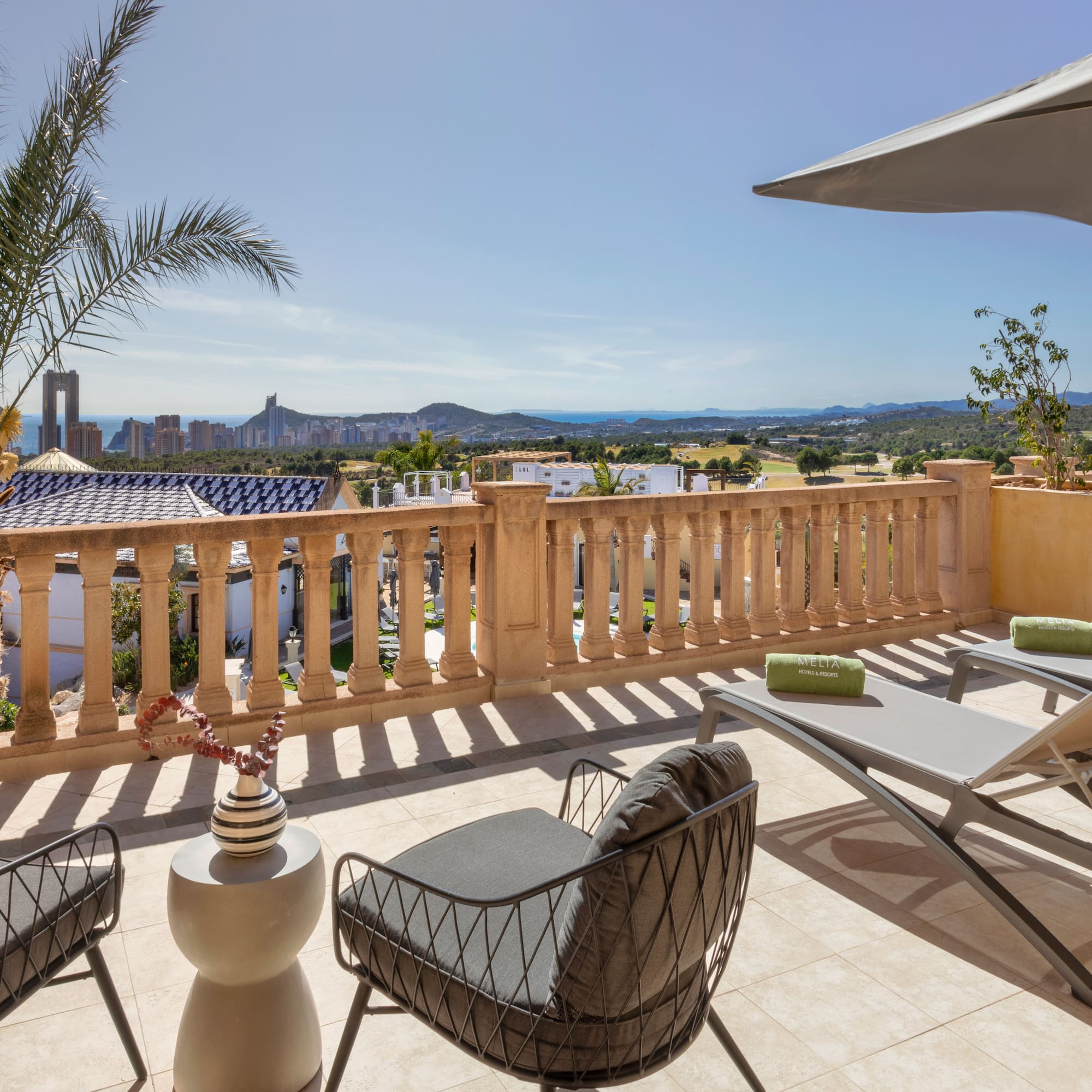 a patio with chairs and a palm tree