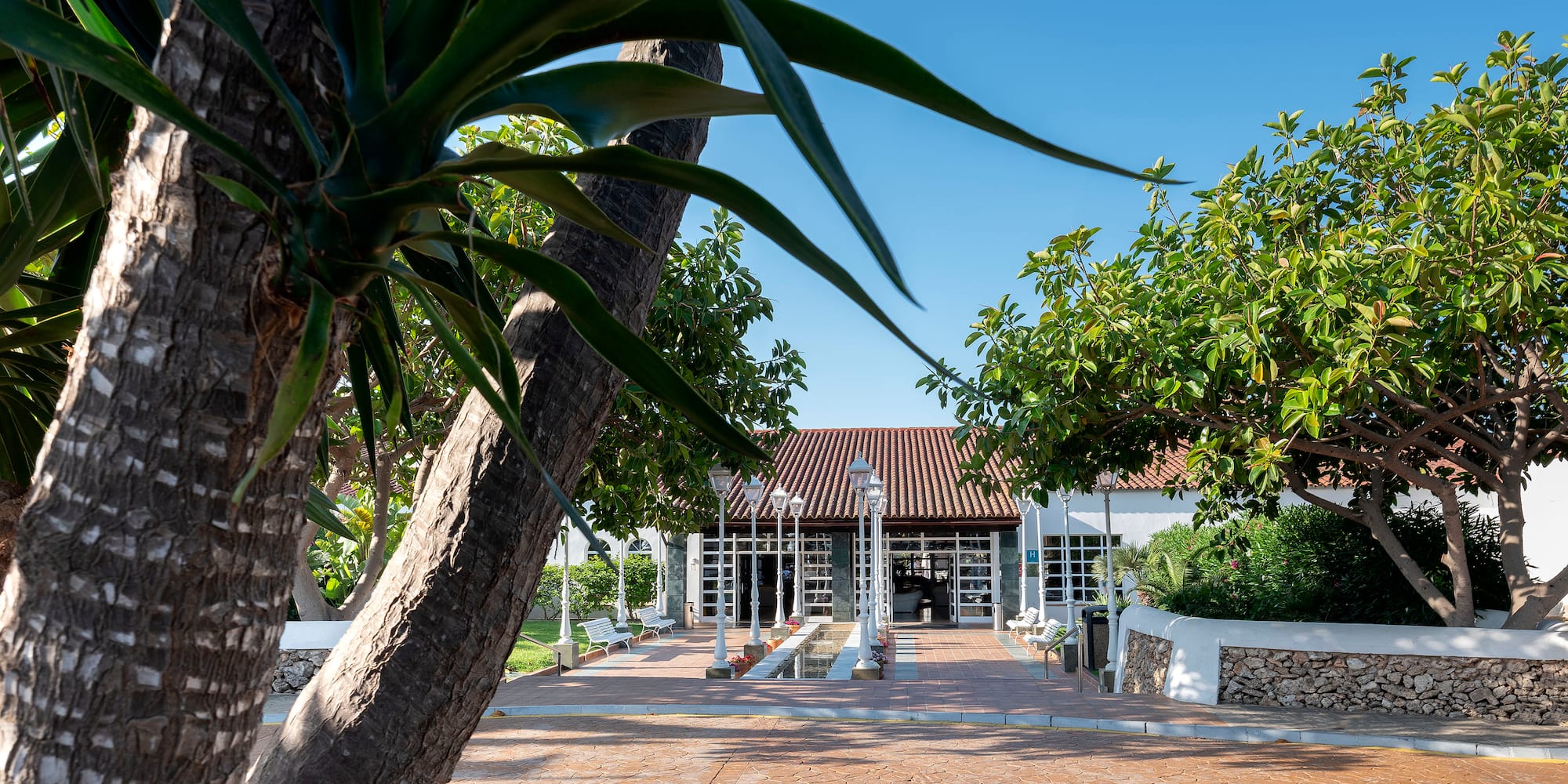 a building with a brick walkway and trees
