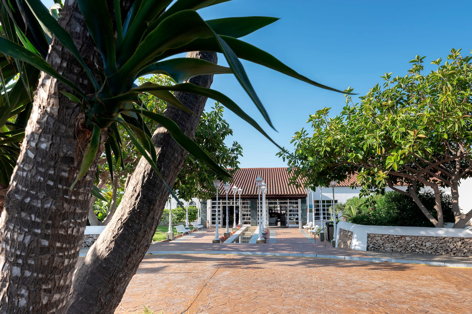 Resort entrance with tiled roof, tropical trees, and paved pathway under blue sky.