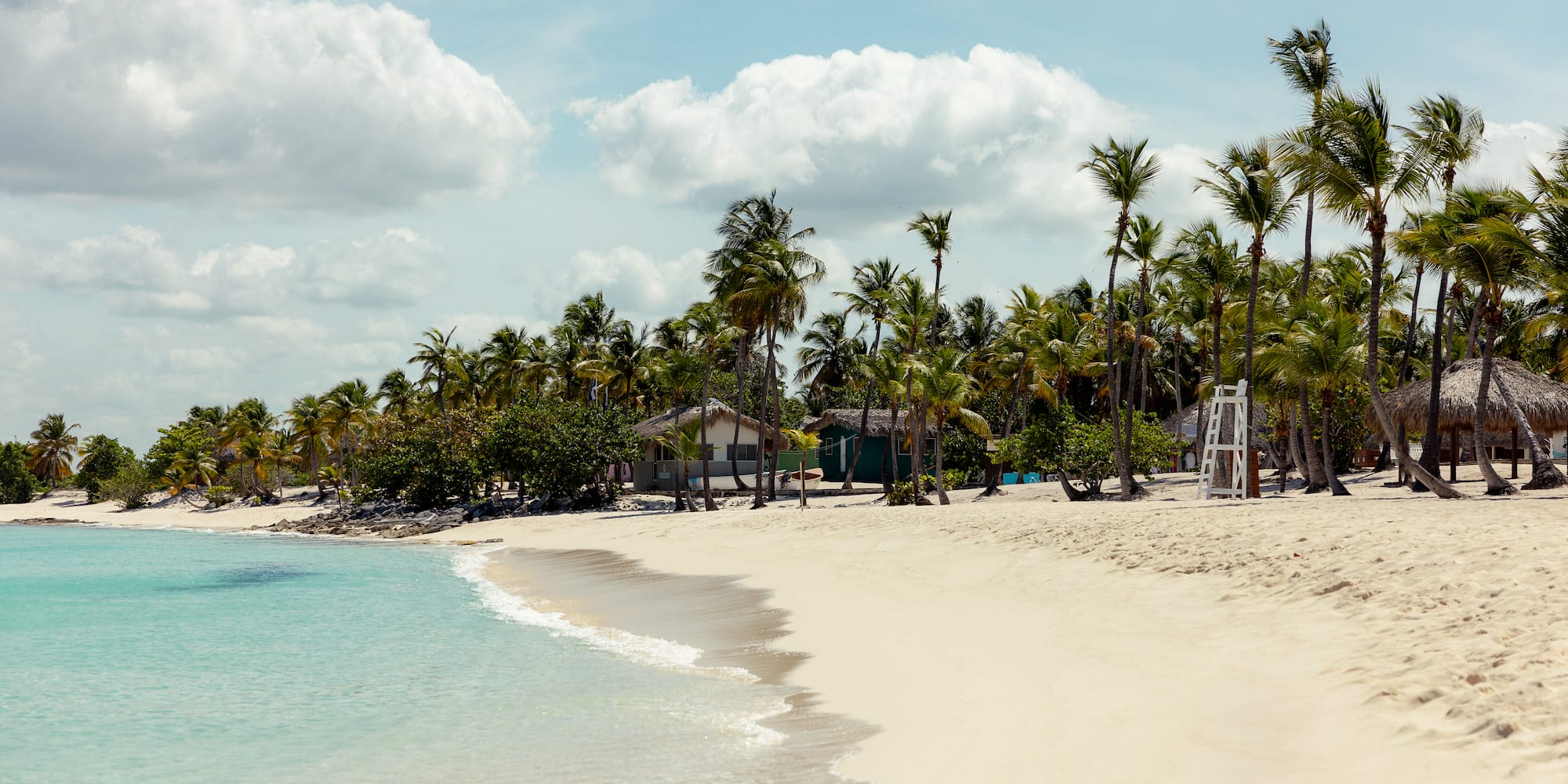 a beach with palm trees and a house