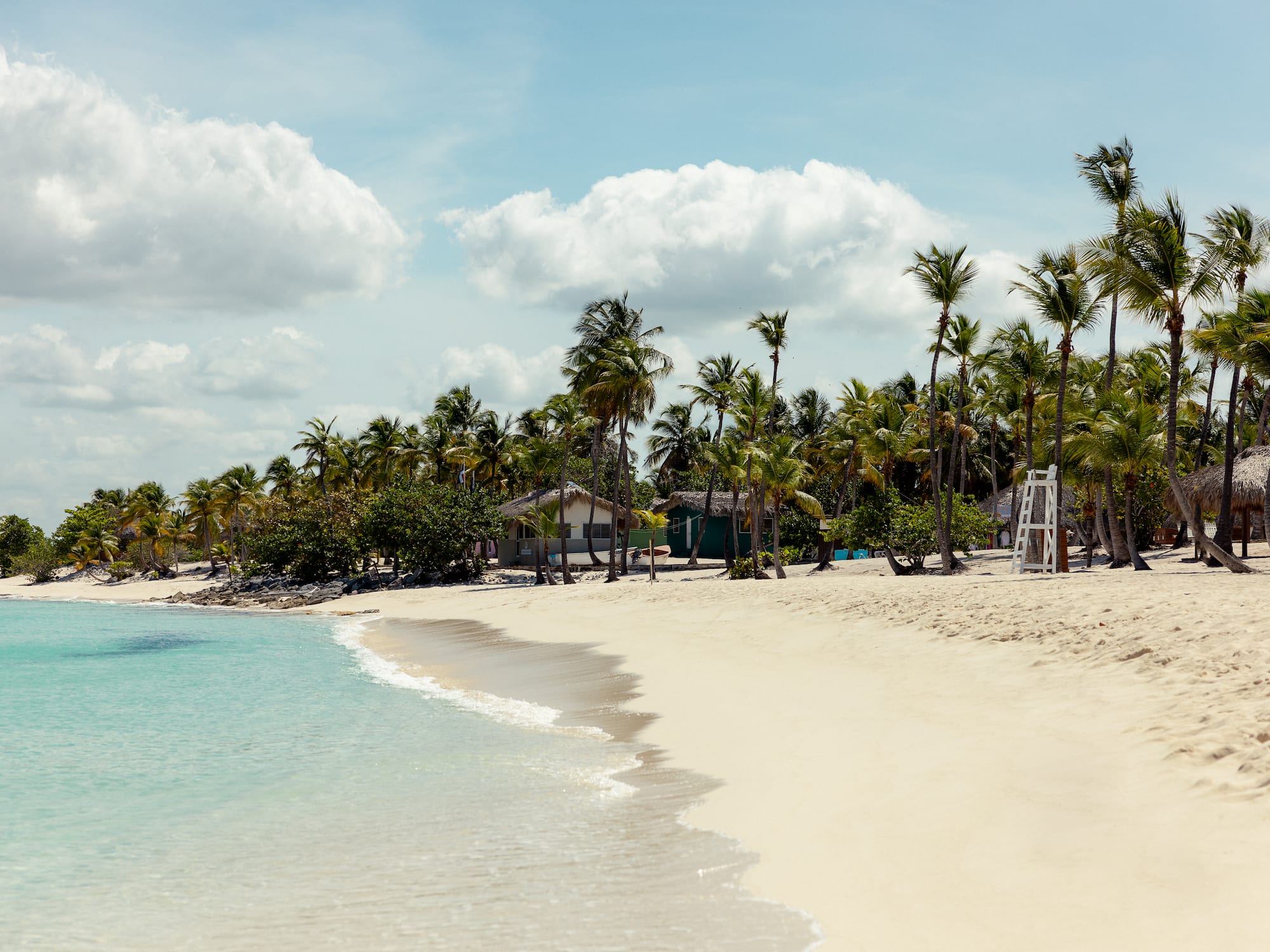 a beach with palm trees and a house