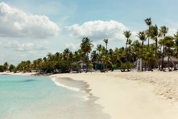 a beach with palm trees and a house