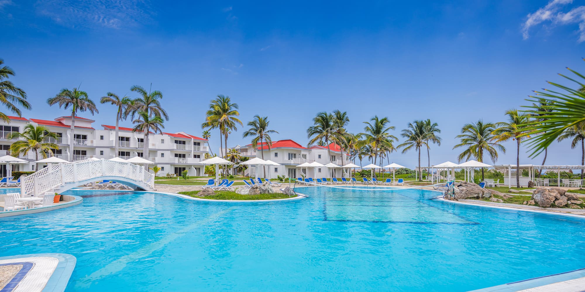 a pool with a bridge and palm trees