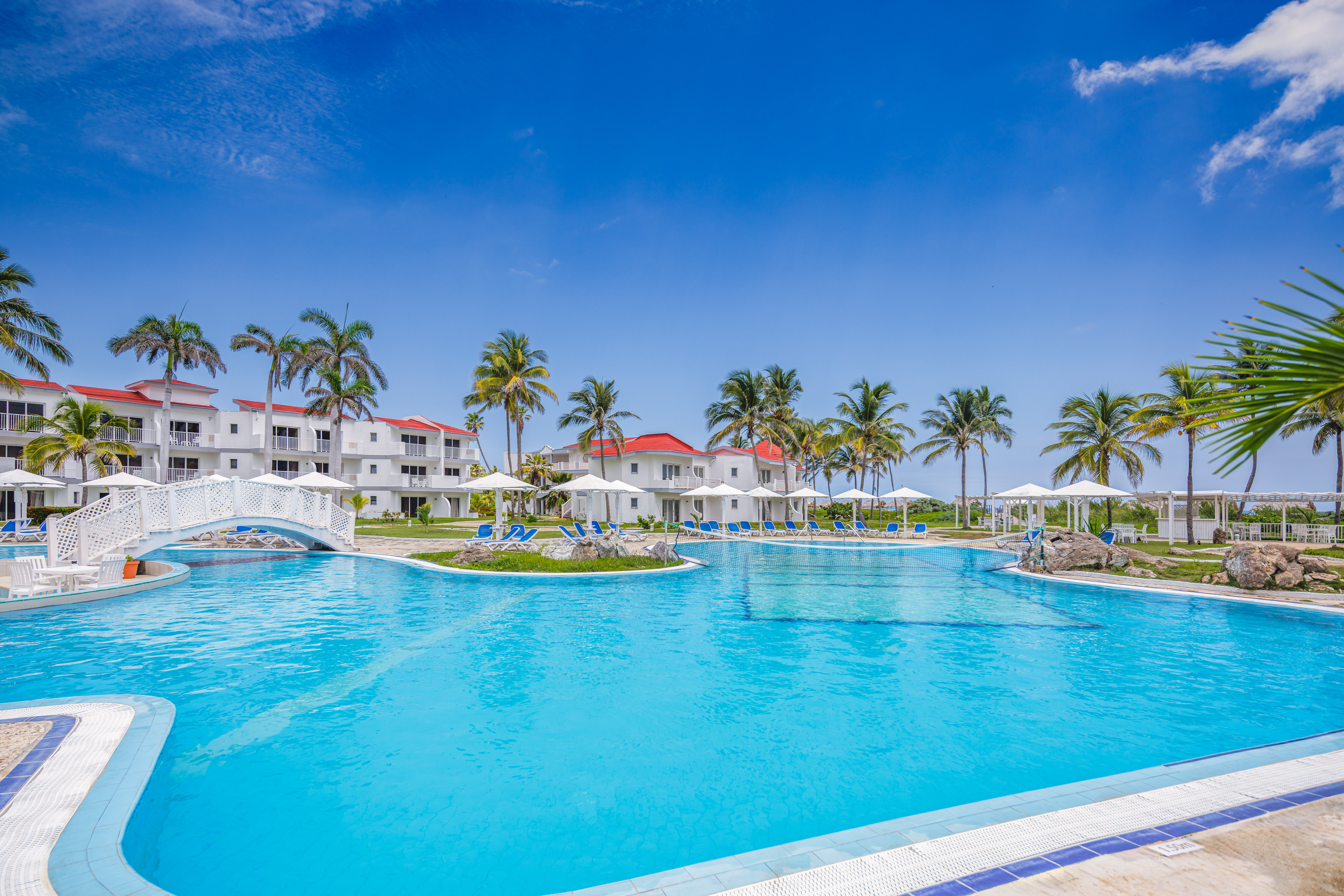 a pool with a bridge and palm trees