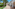 Mediterranean resort pathway with palm trees and arched buildings.