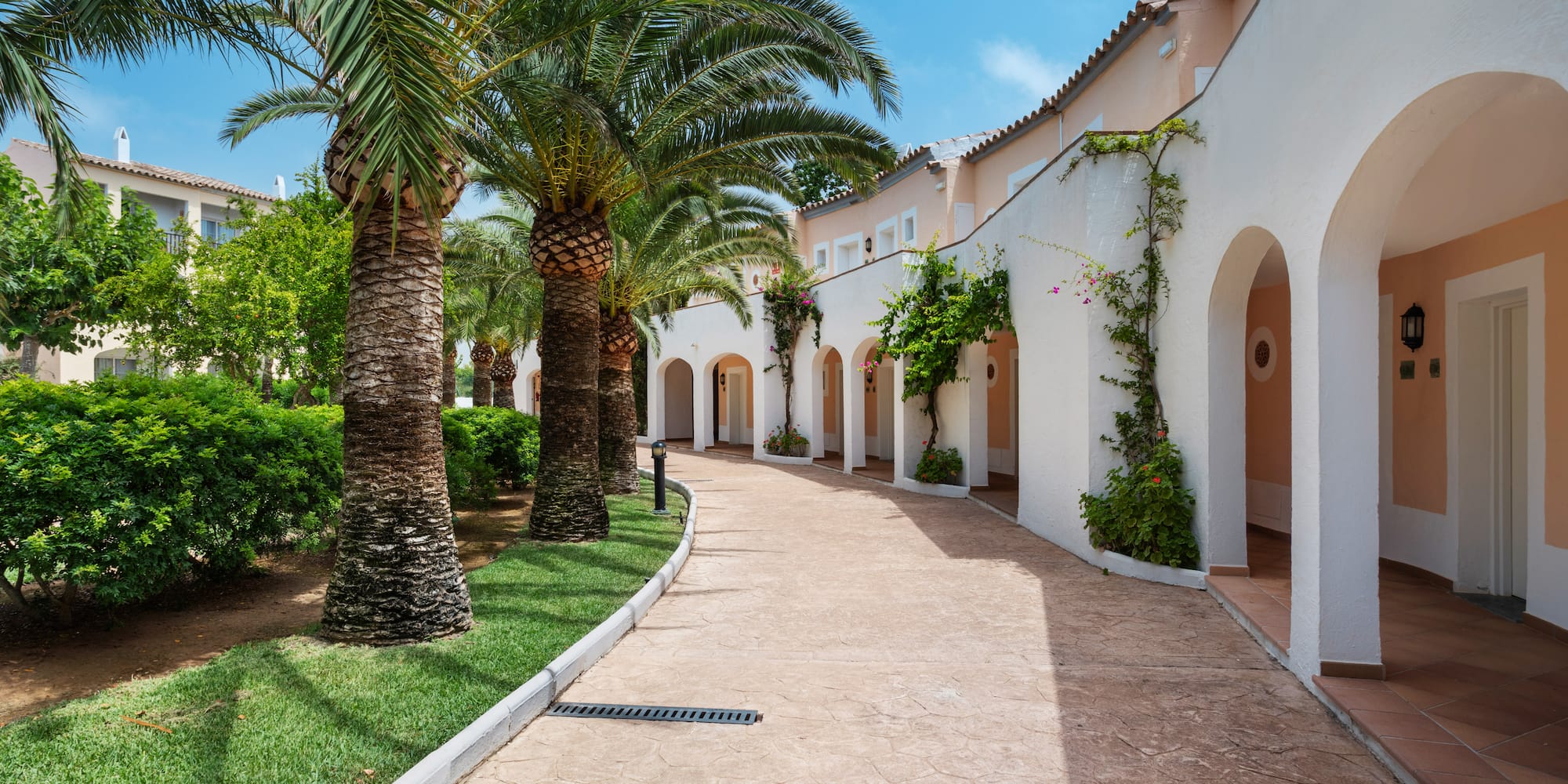 a walkway with palm trees and a building