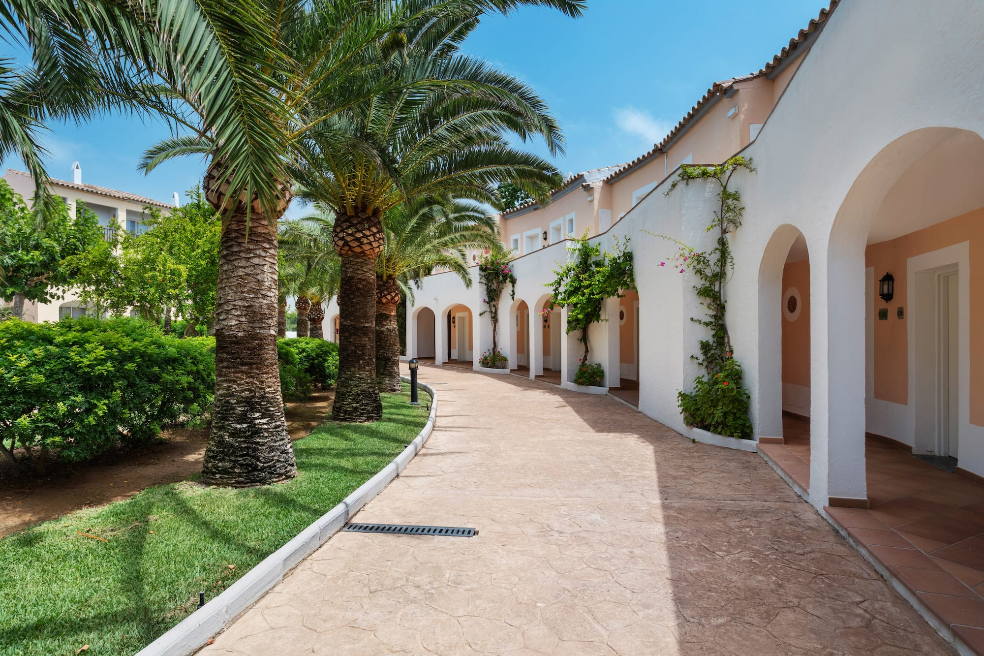 Mediterranean resort pathway with palm trees and arched buildings.