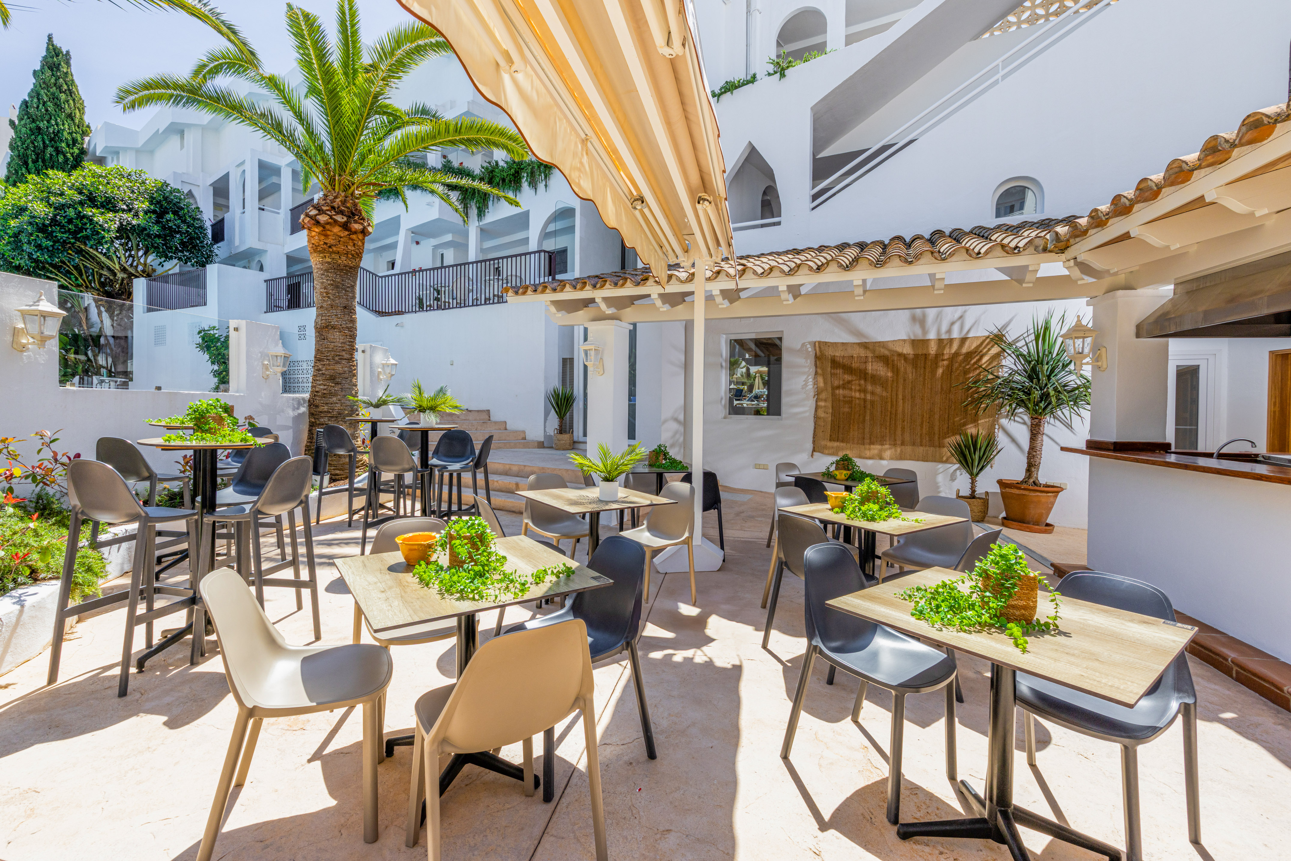 Outdoor hotel patio with dining tables, chairs, and palm trees.