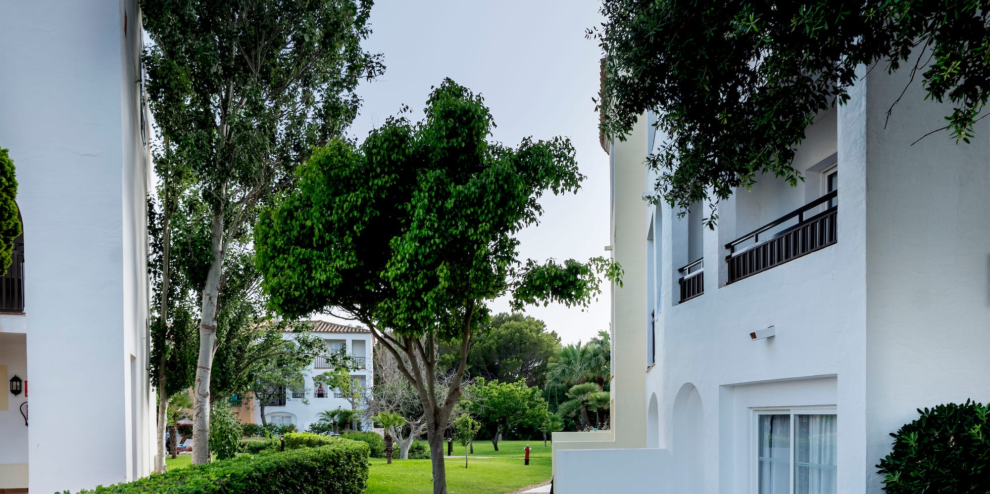 a white building with trees and grass