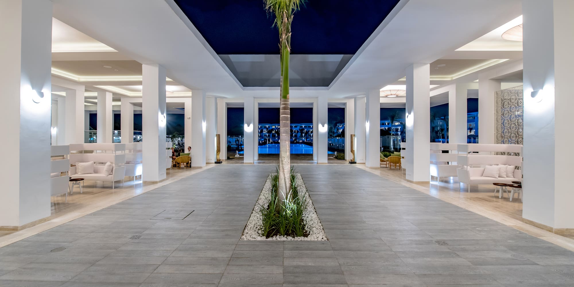 a palm tree in a room with white pillars