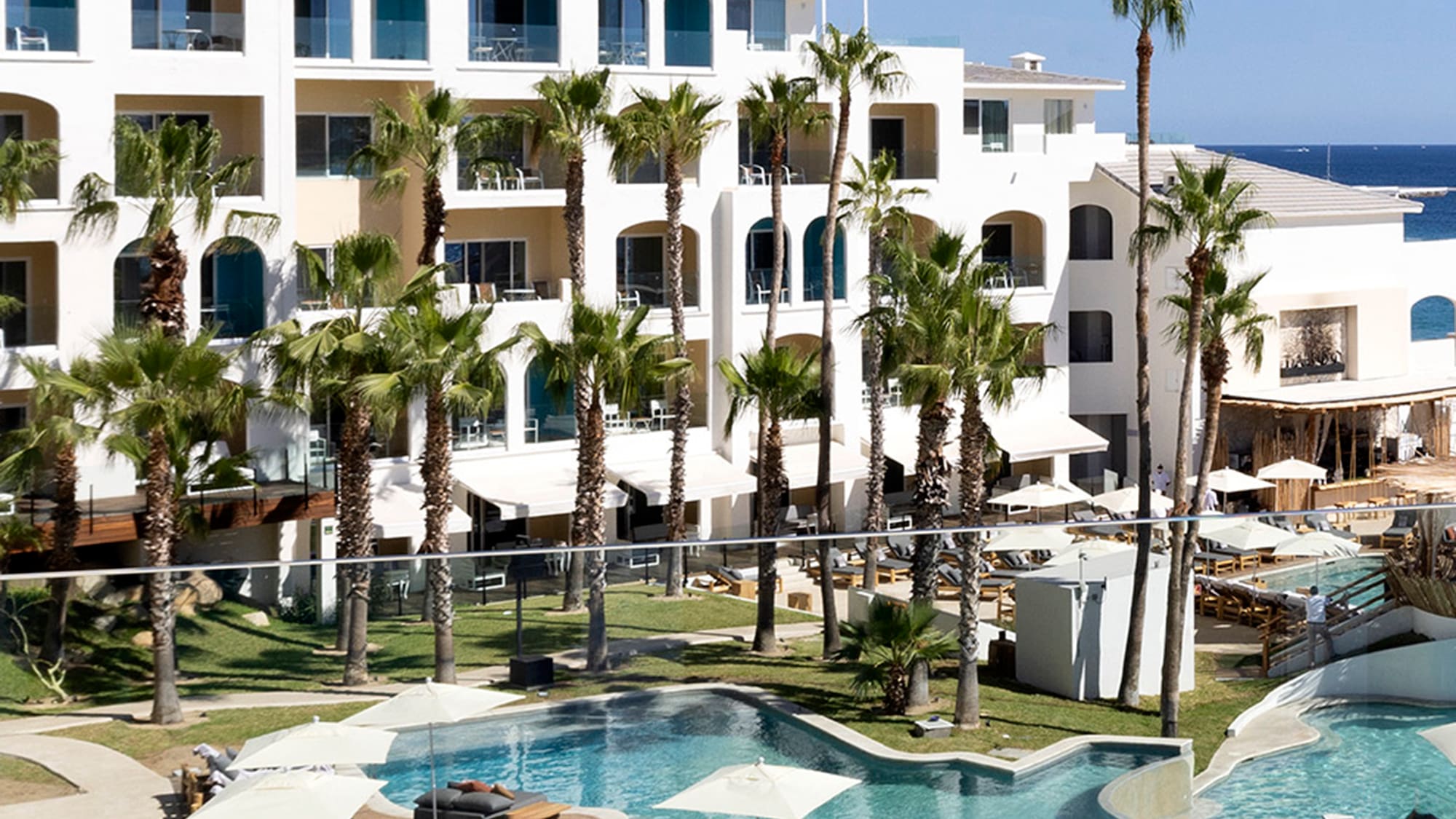 a pool with palm trees and a building