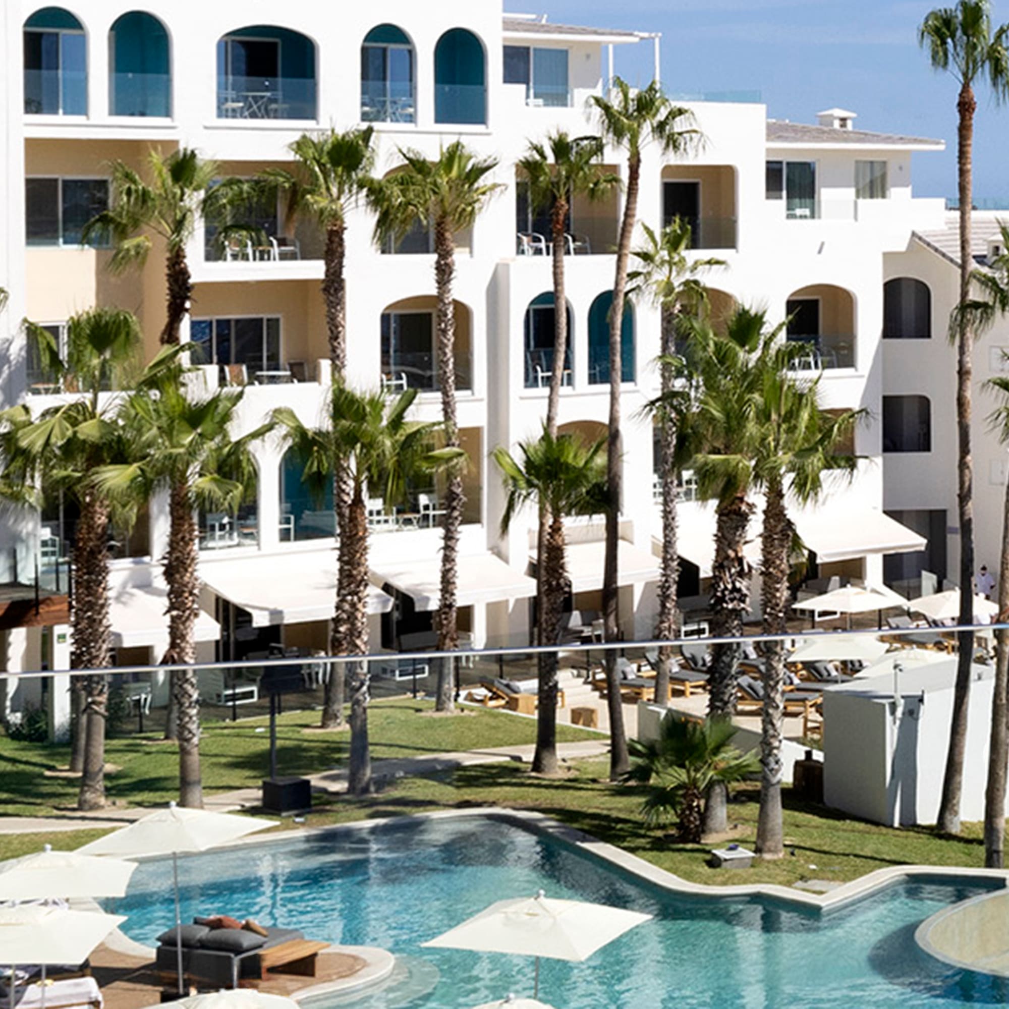 a pool with palm trees and a building