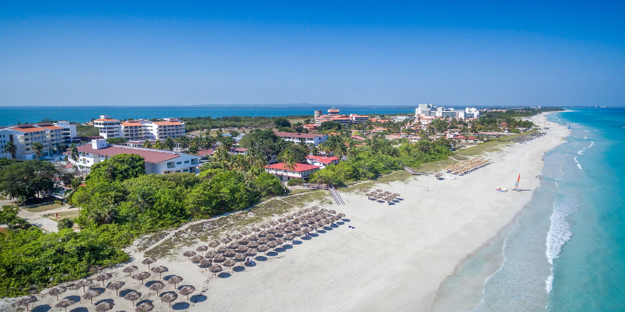 a beach with buildings and trees