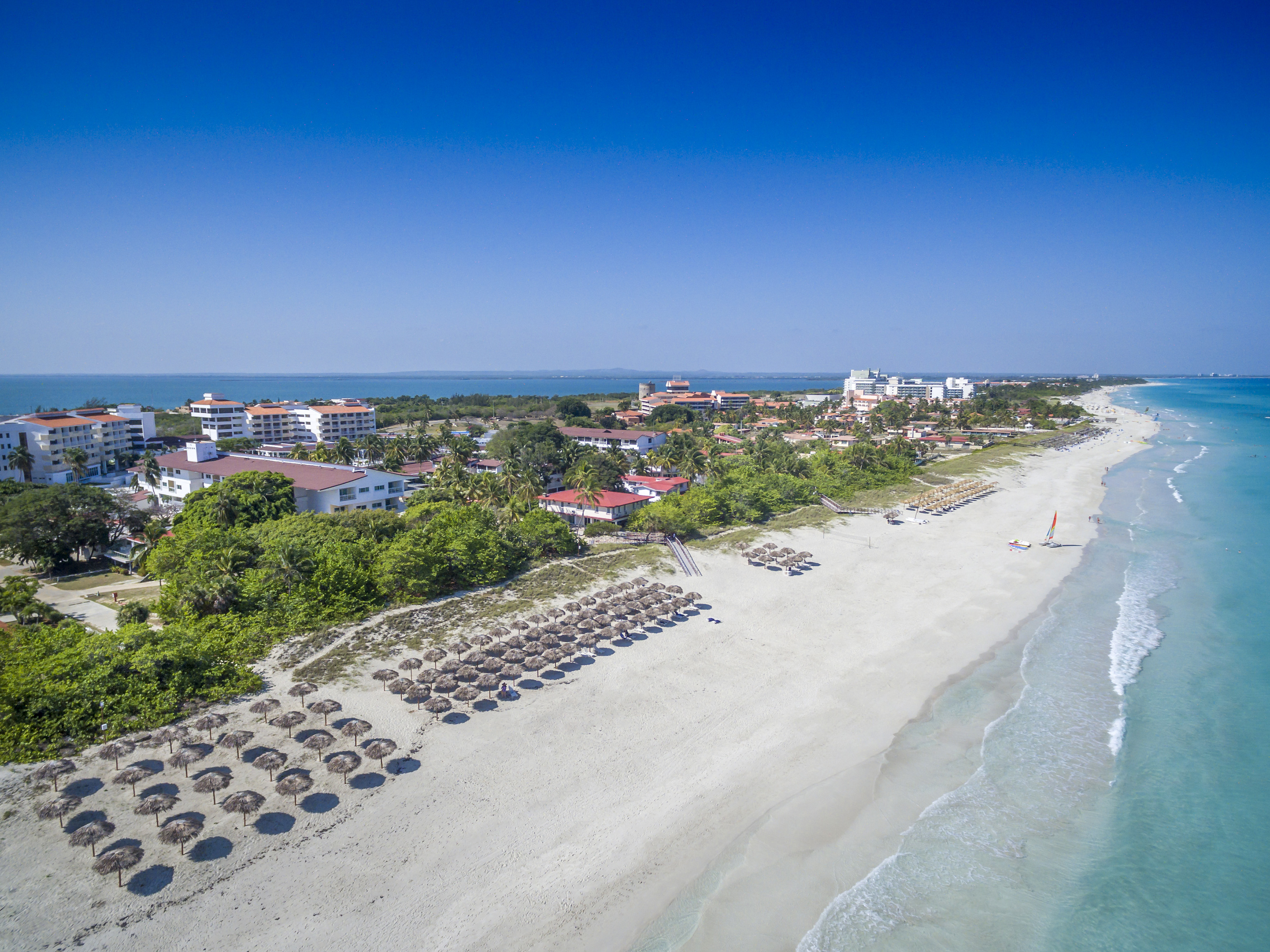 a beach with buildings and trees