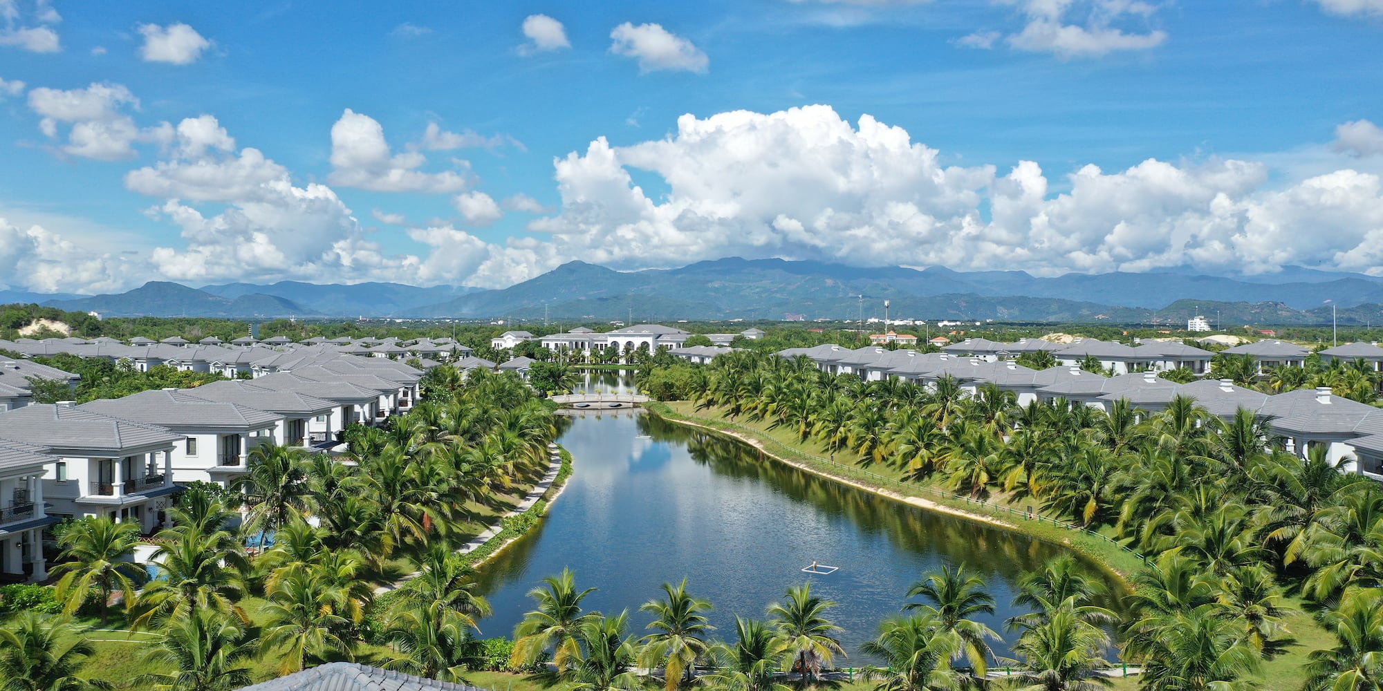 a river with trees around it