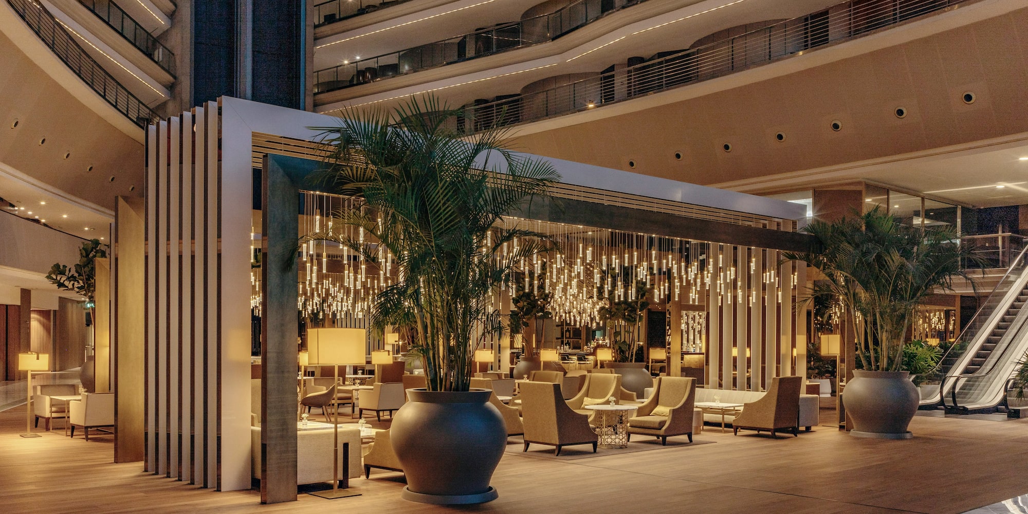 a room with a large plant and a large building with balconies