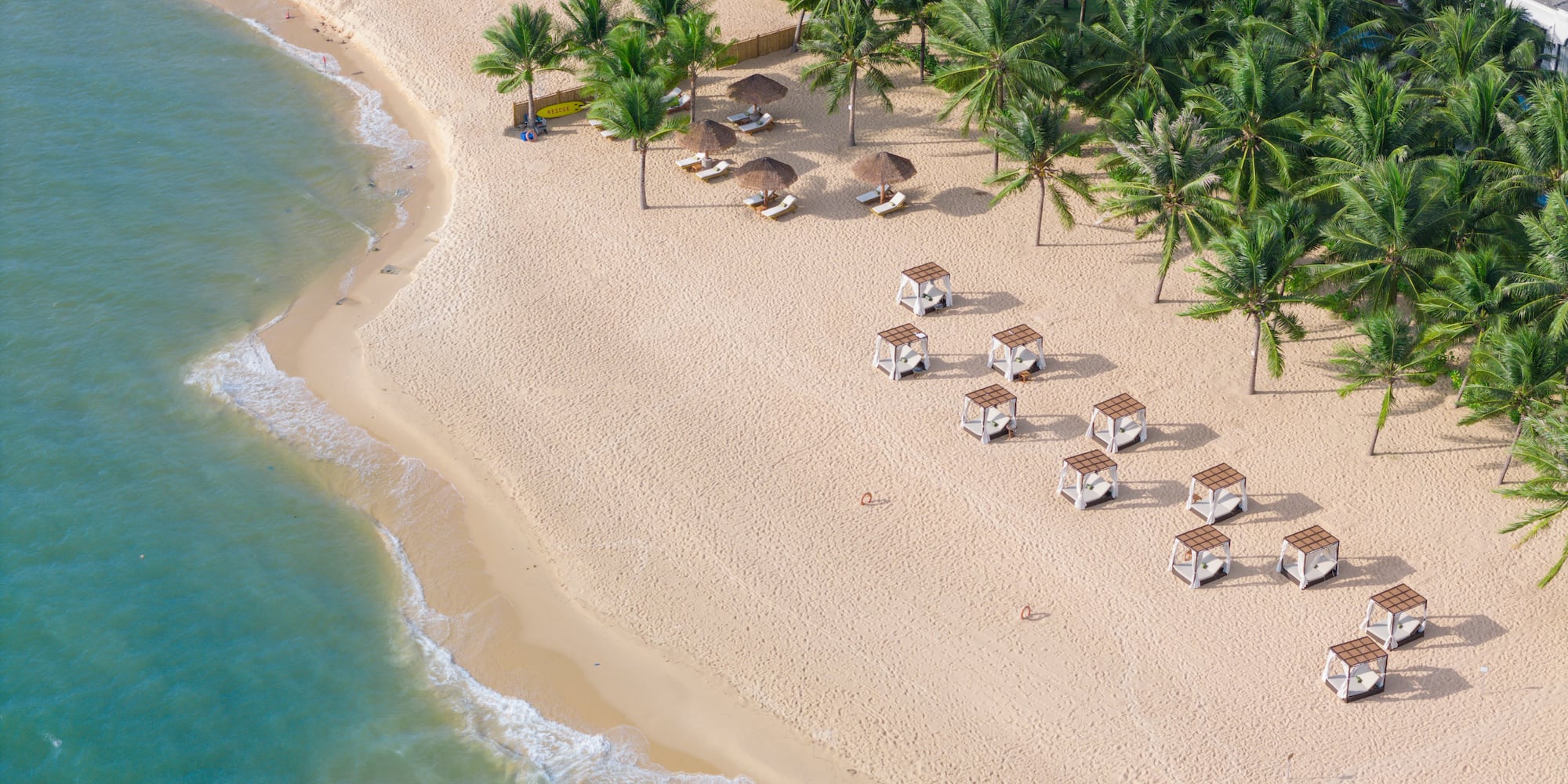 a beach with palm trees and umbrellas