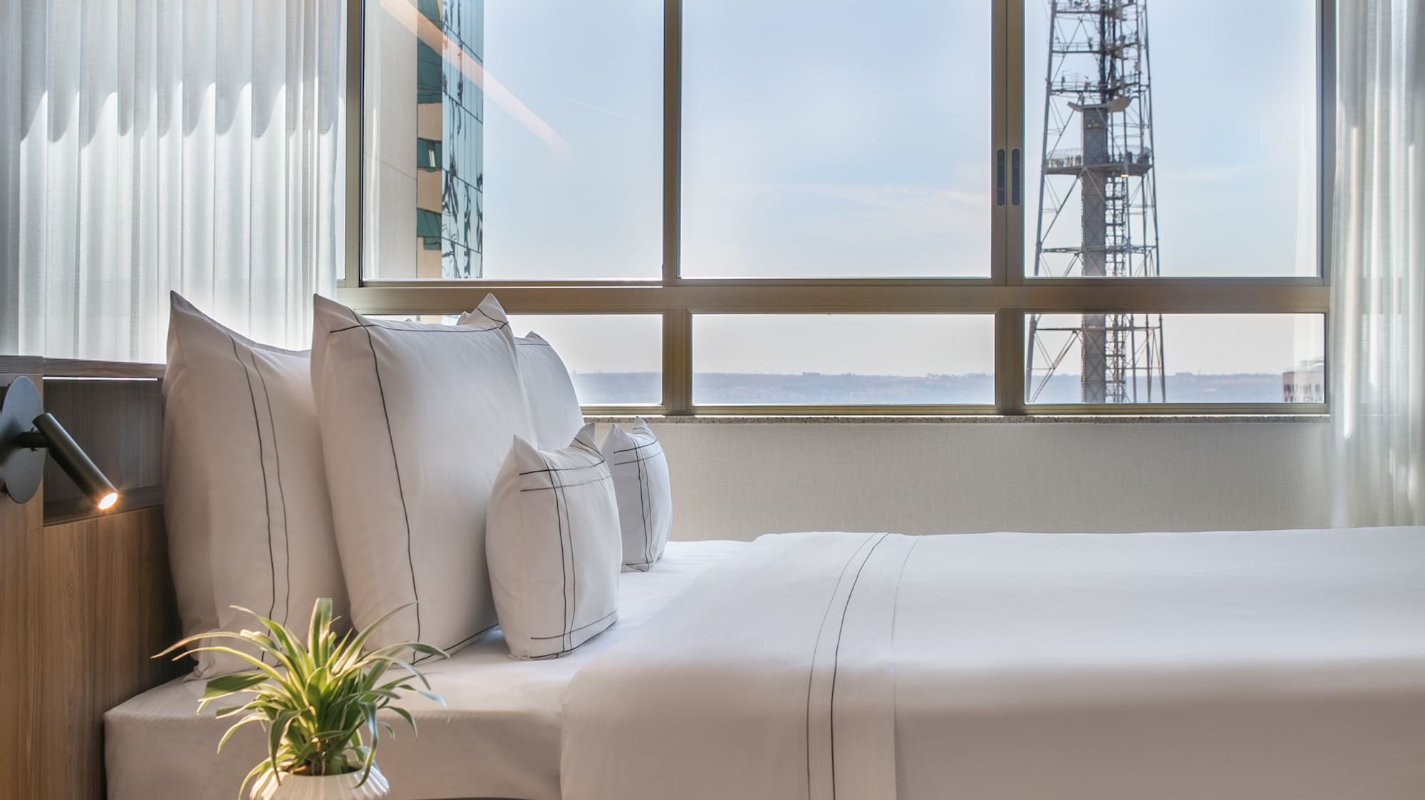 Contemporary hotel room with white bed, plant, and city view window.
