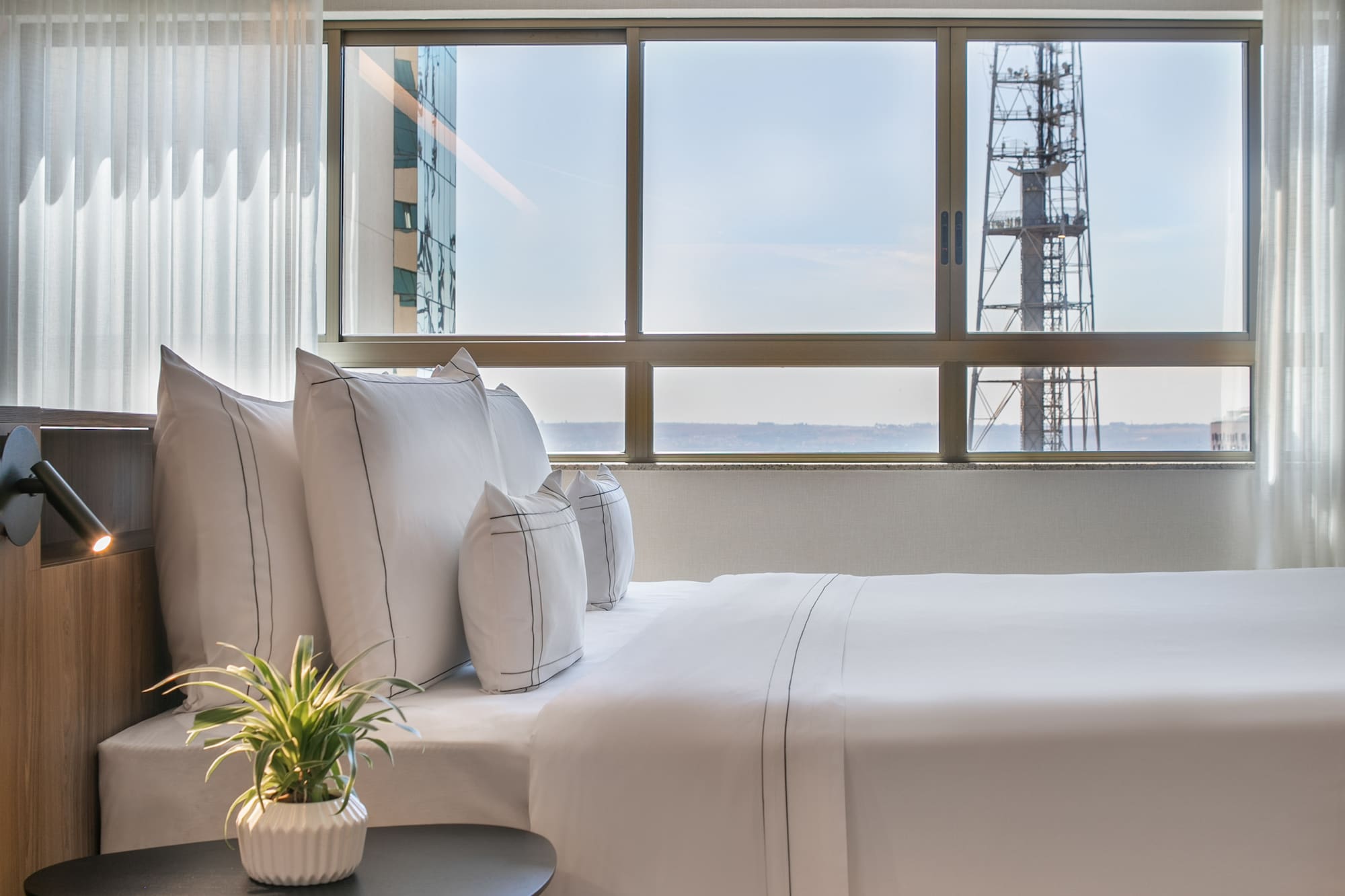 Modern hotel bedroom with white bed, plant, and large window city view.