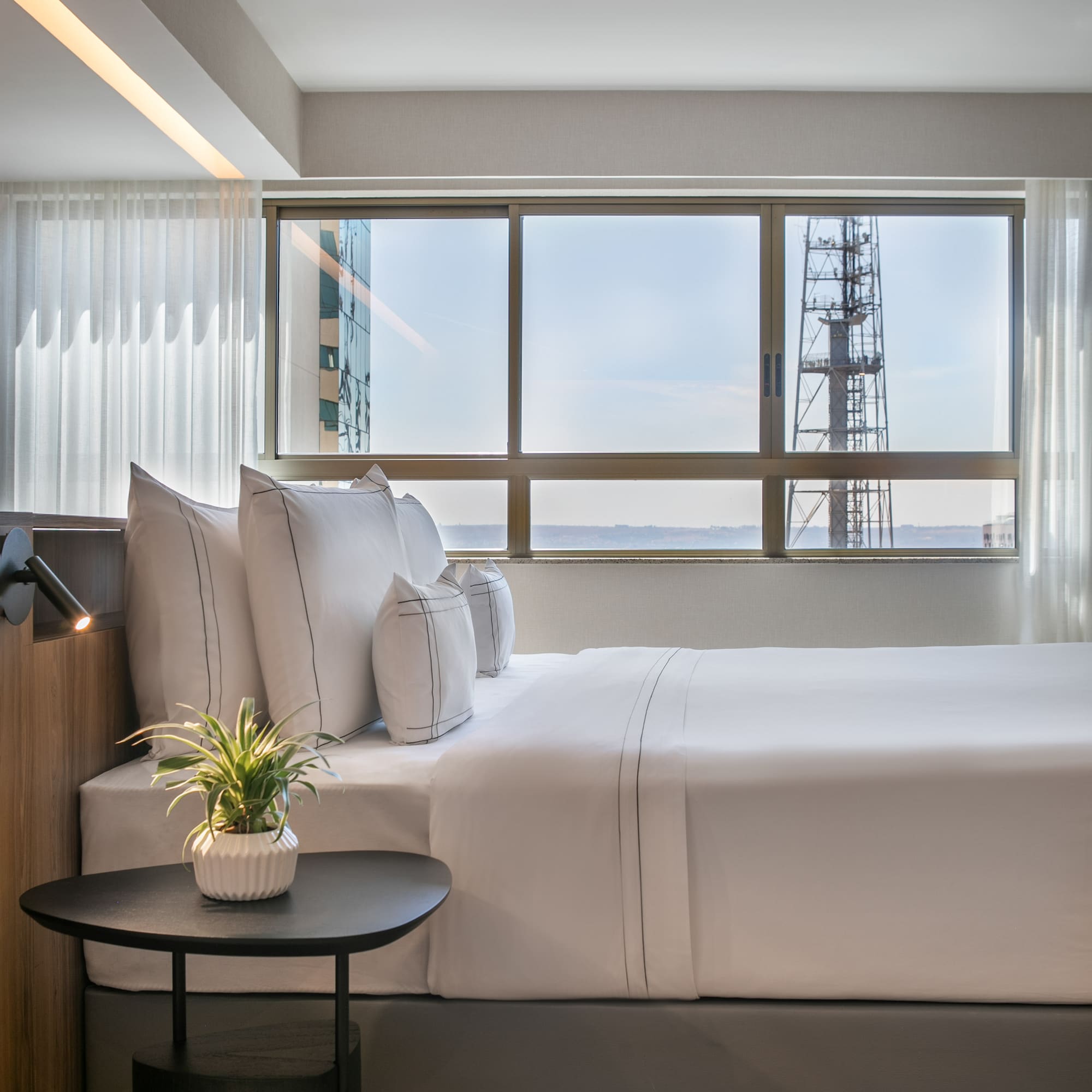 Modern hotel bedroom with white bed, plant, and large window city view.