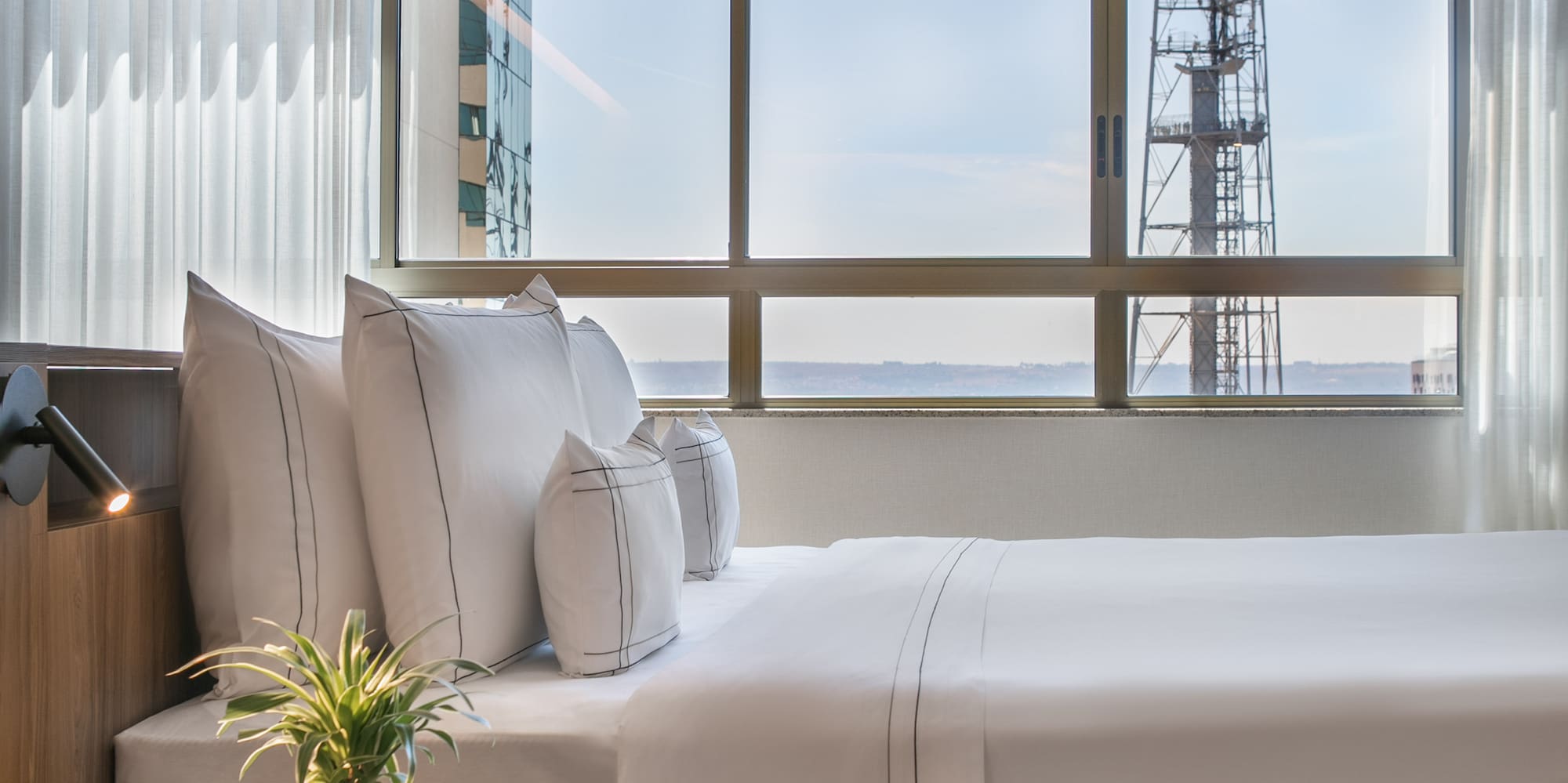 Contemporary hotel room with white bed, plant, and city view window.