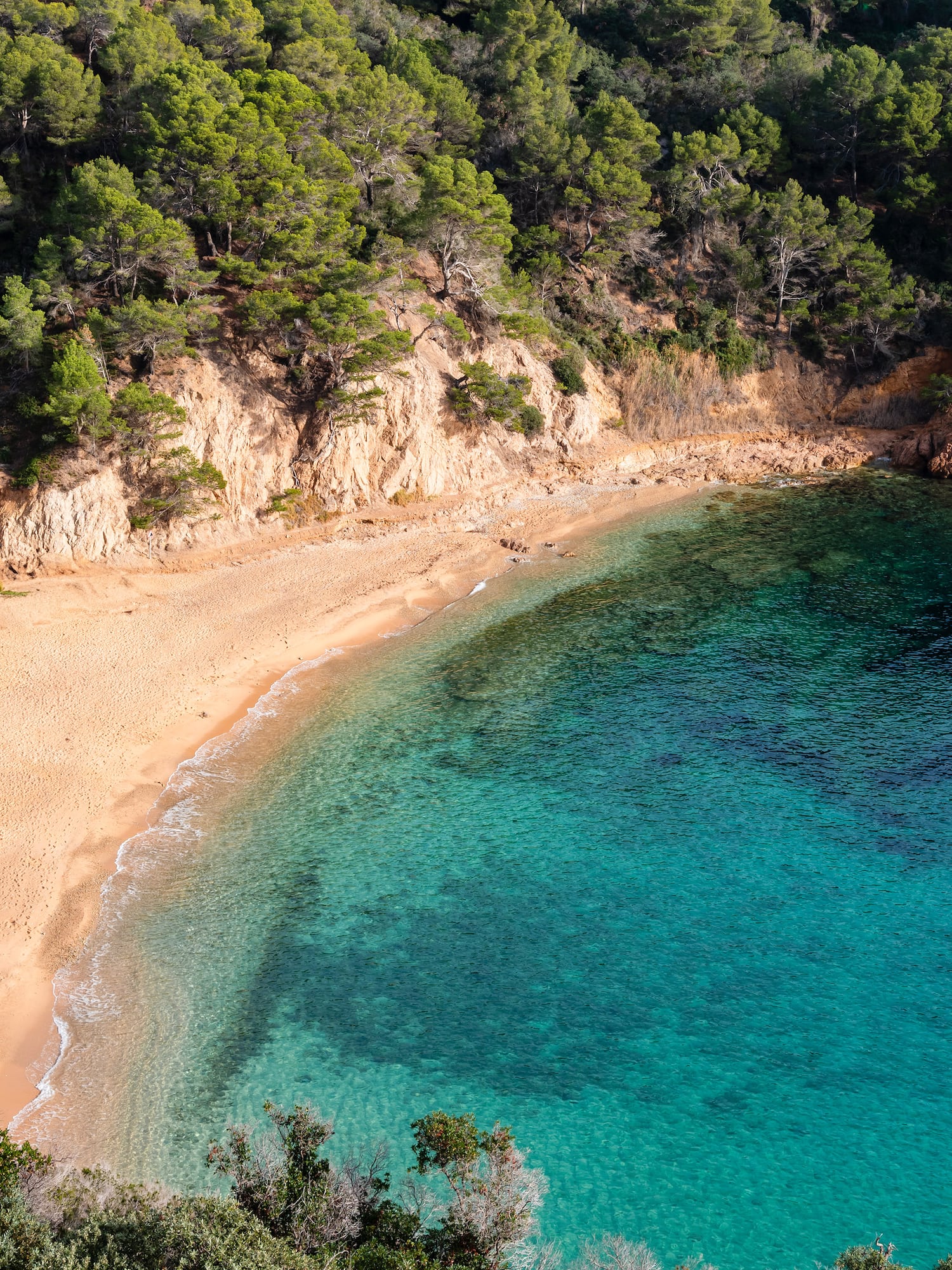 a beach with blue water and trees