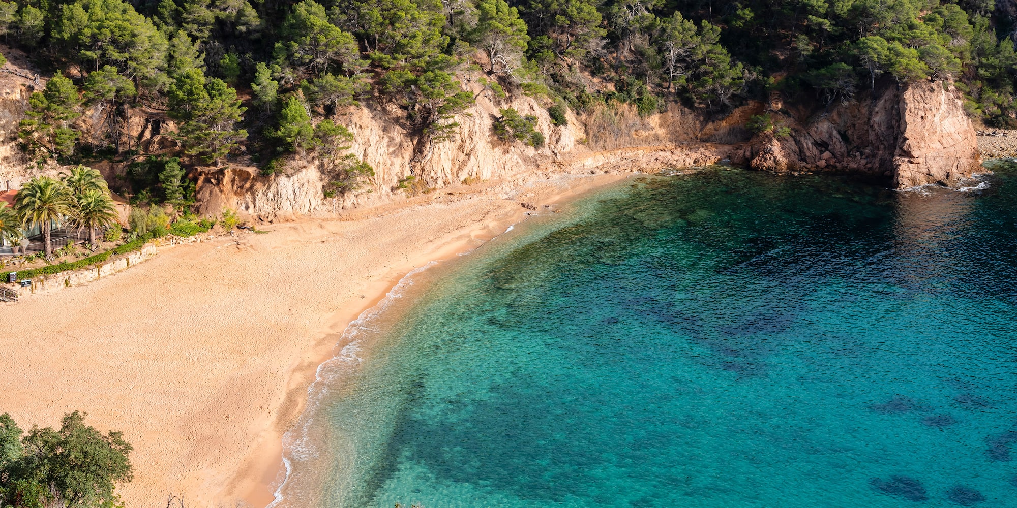 a beach with blue water and trees