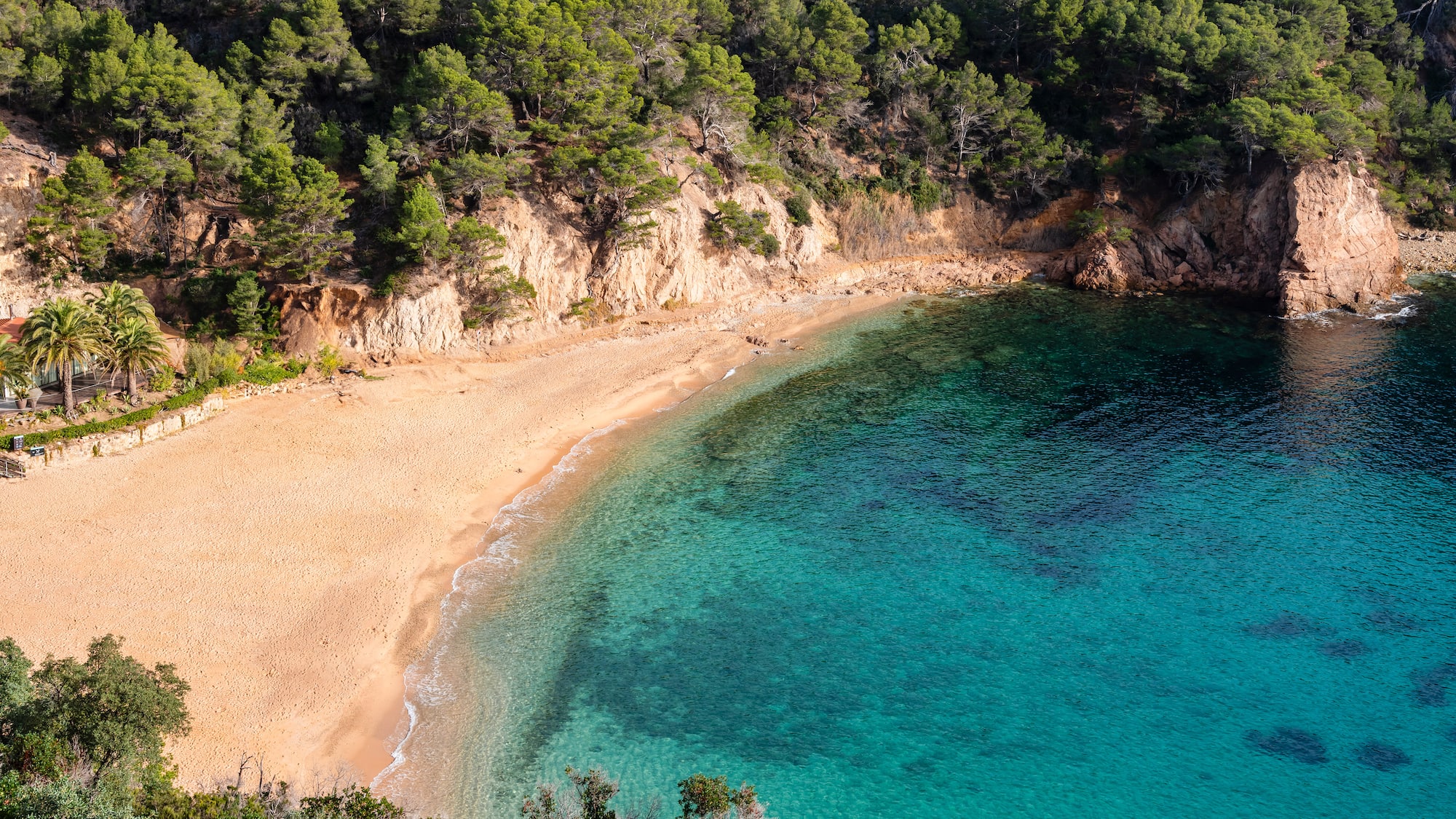 a beach with blue water and trees